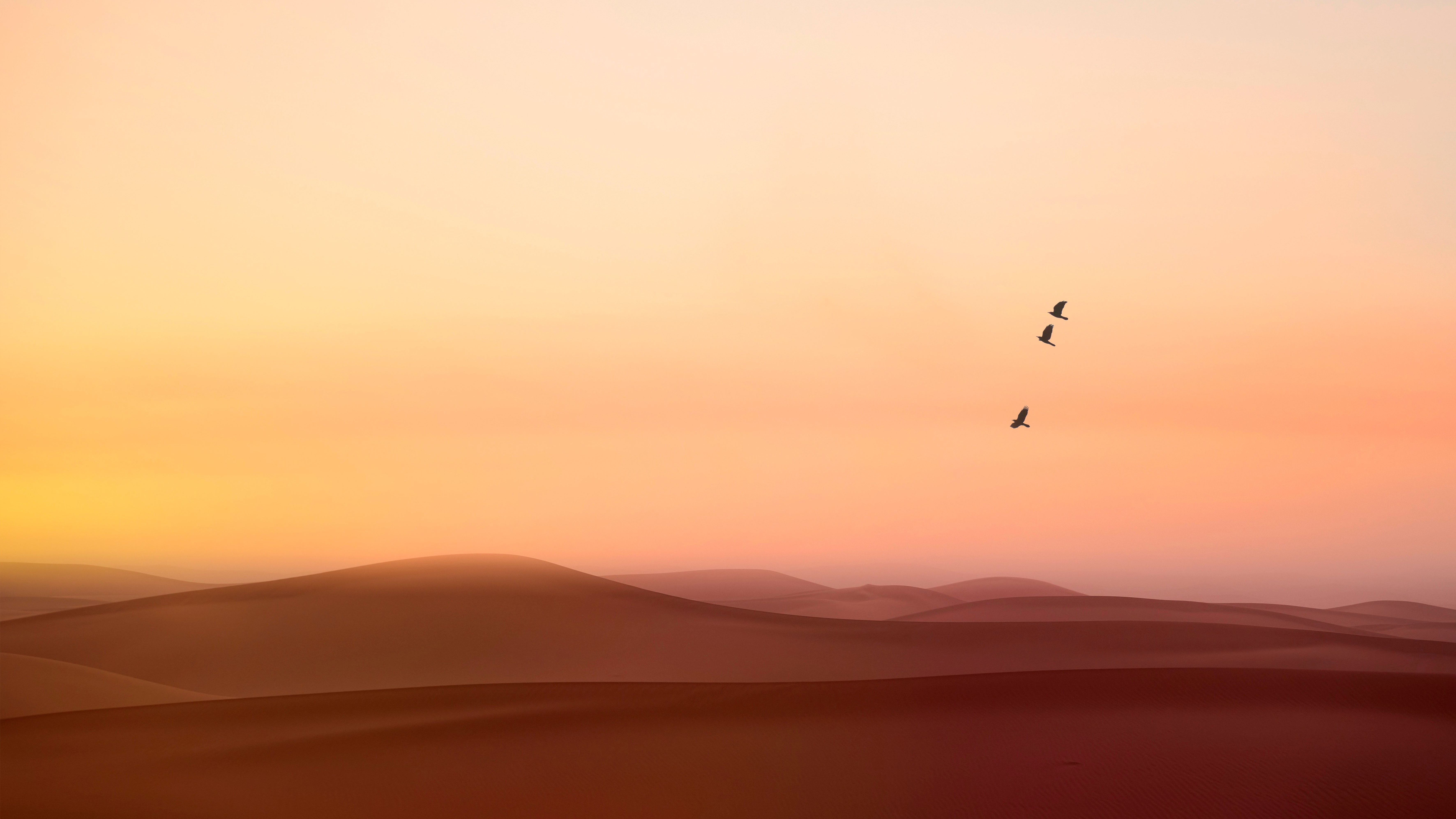 Birds flying over desert dunes at sunset HD Wallpaper