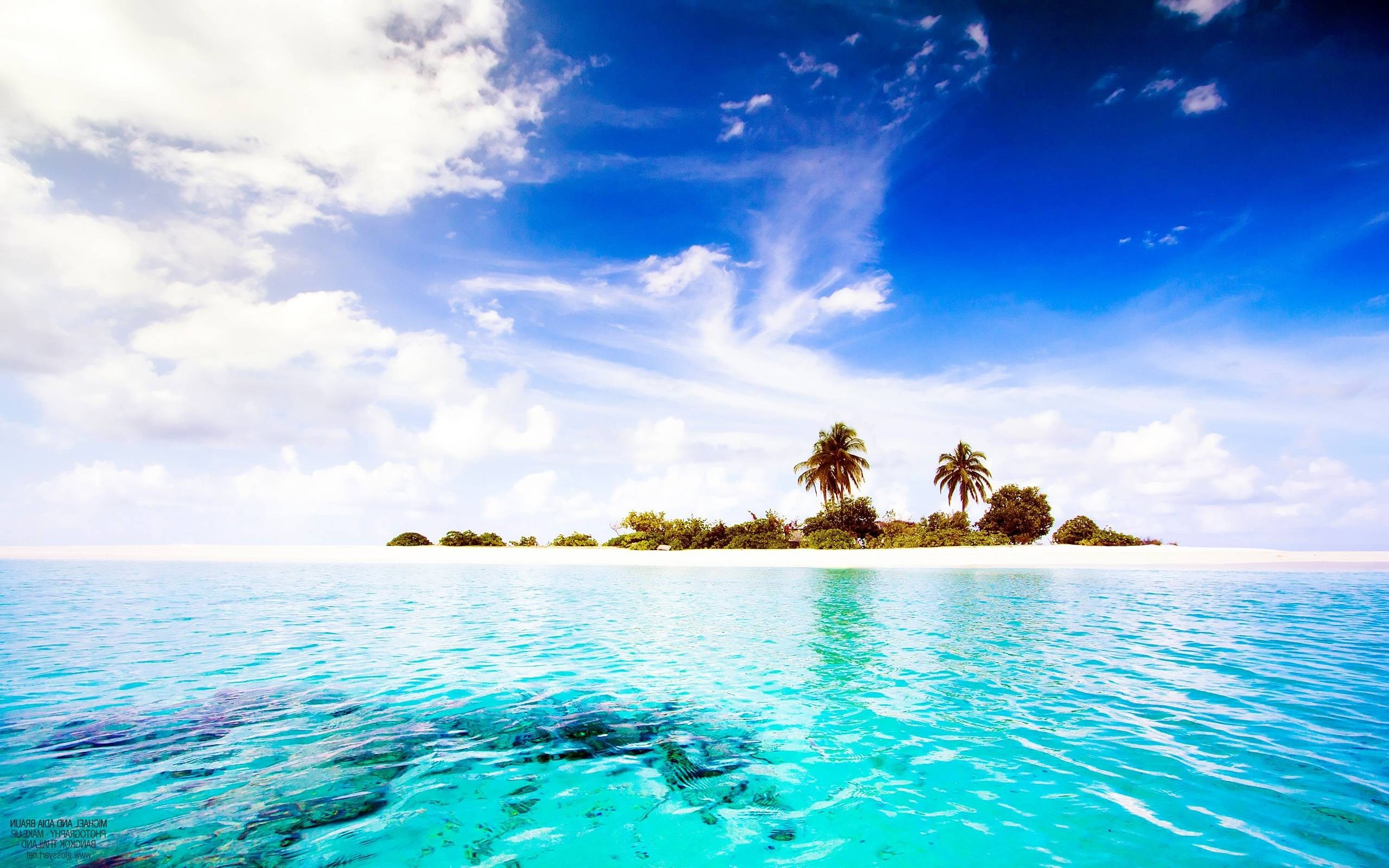 Tropical island with palm trees and turquoise water HD Wallpaper