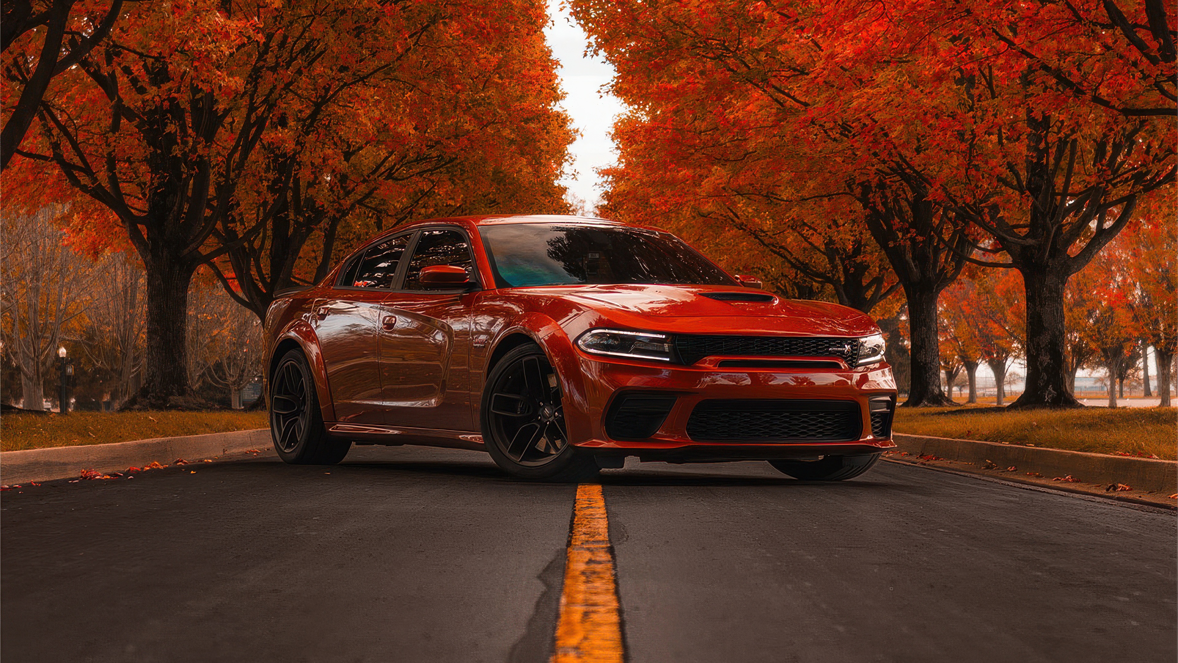 Red Dodge Charger on a Road Lined with Autumn Trees HD Wallpaper