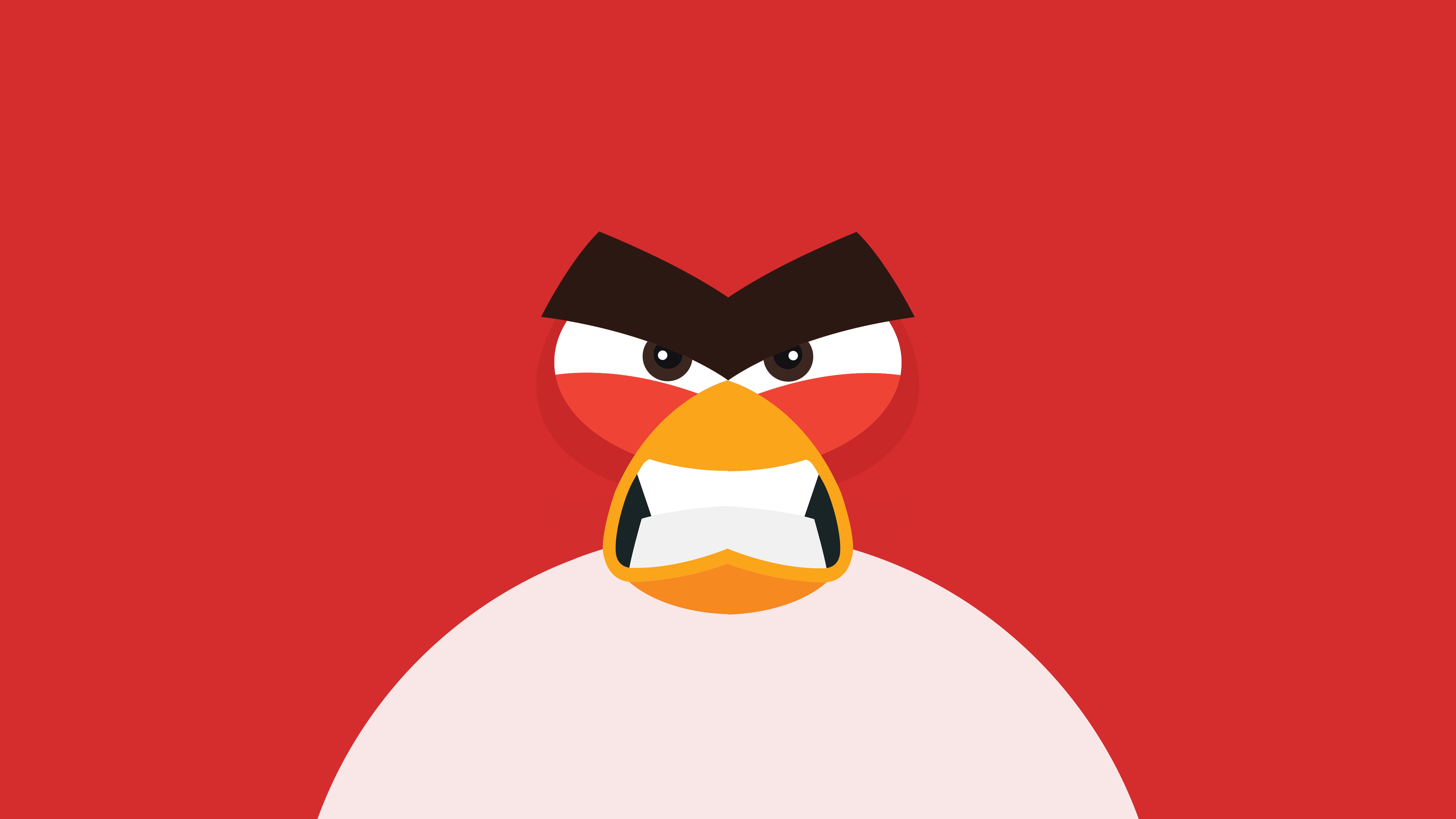 Red Angry Bird Close-up HD Wallpaper