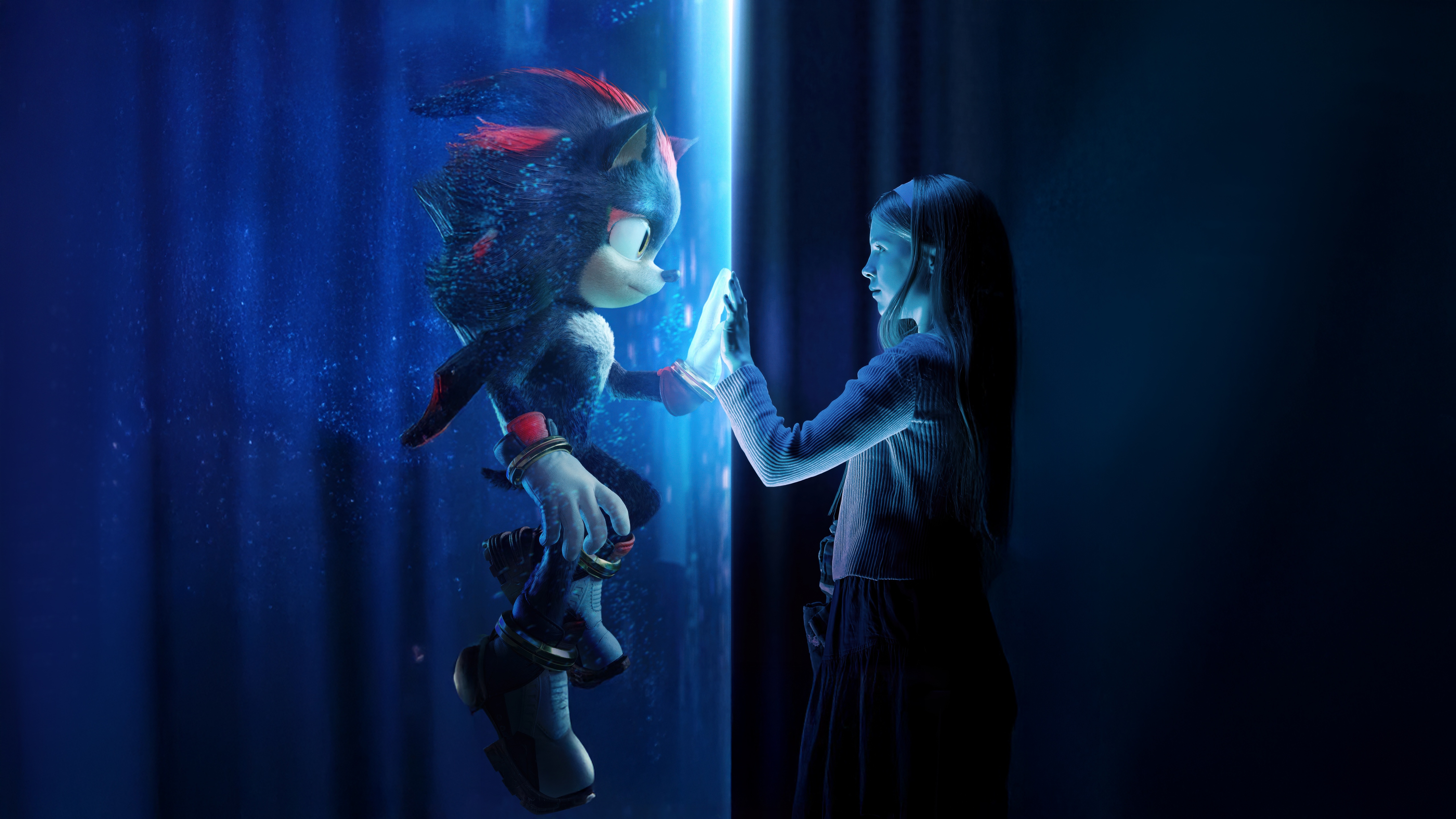 Shadow the Hedgehog and Maria Robotnik HD Wallpaper