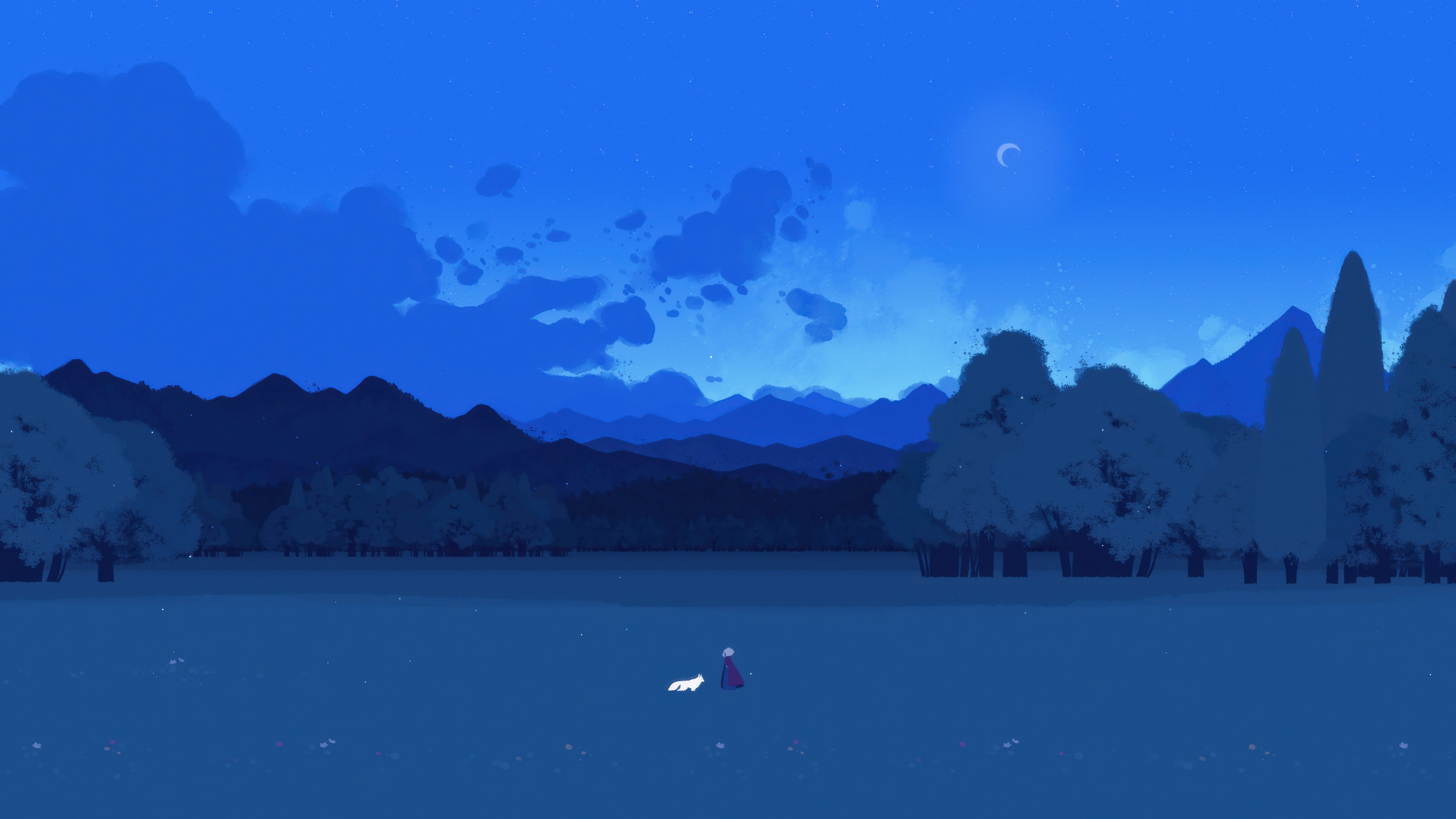 A girl and a white fox walk under the night sky HD Wallpaper