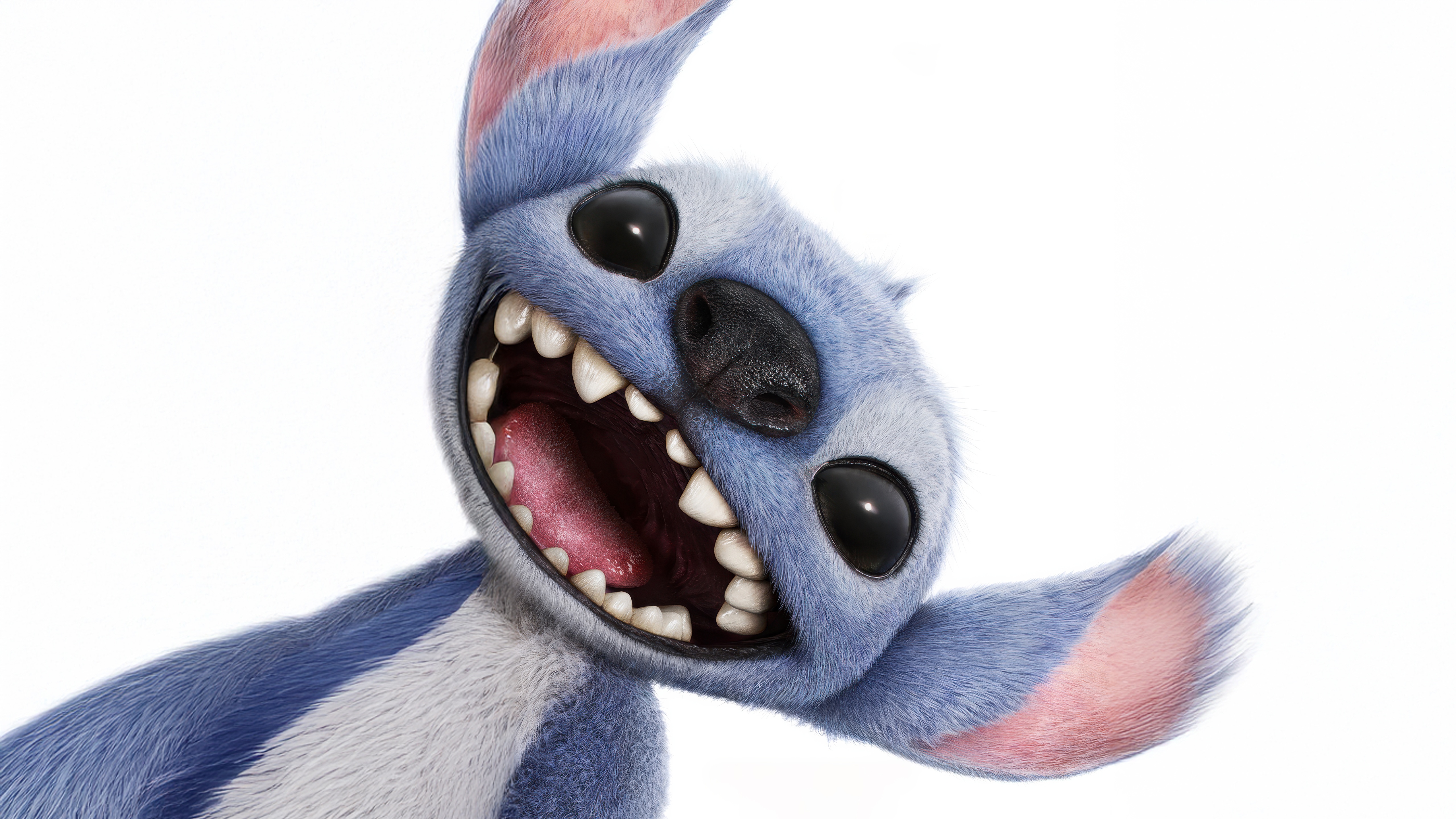 Stitch from Lilo and Stitch HD Wallpaper