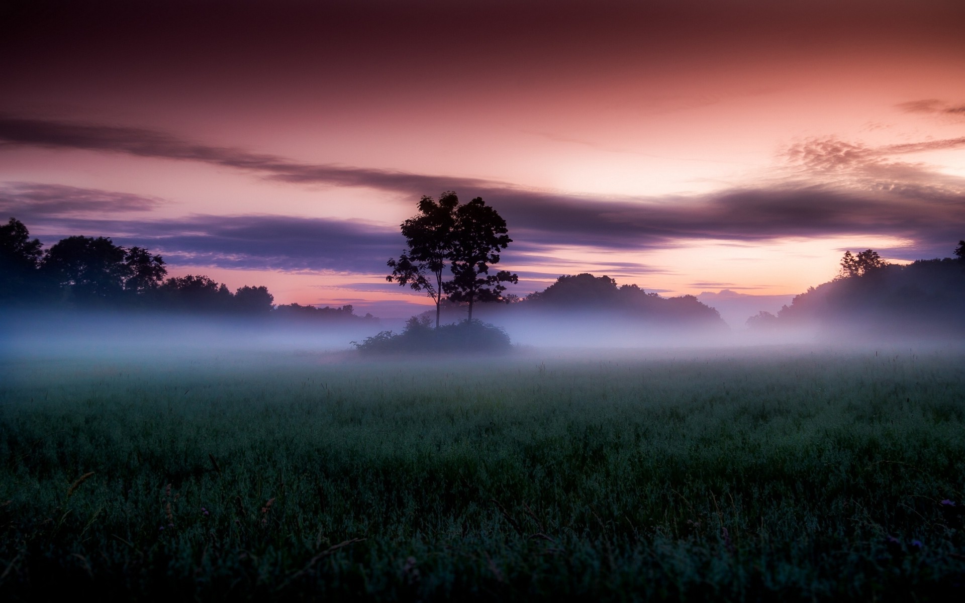 Misty field at sunset with pink and purple sky HD Wallpaper