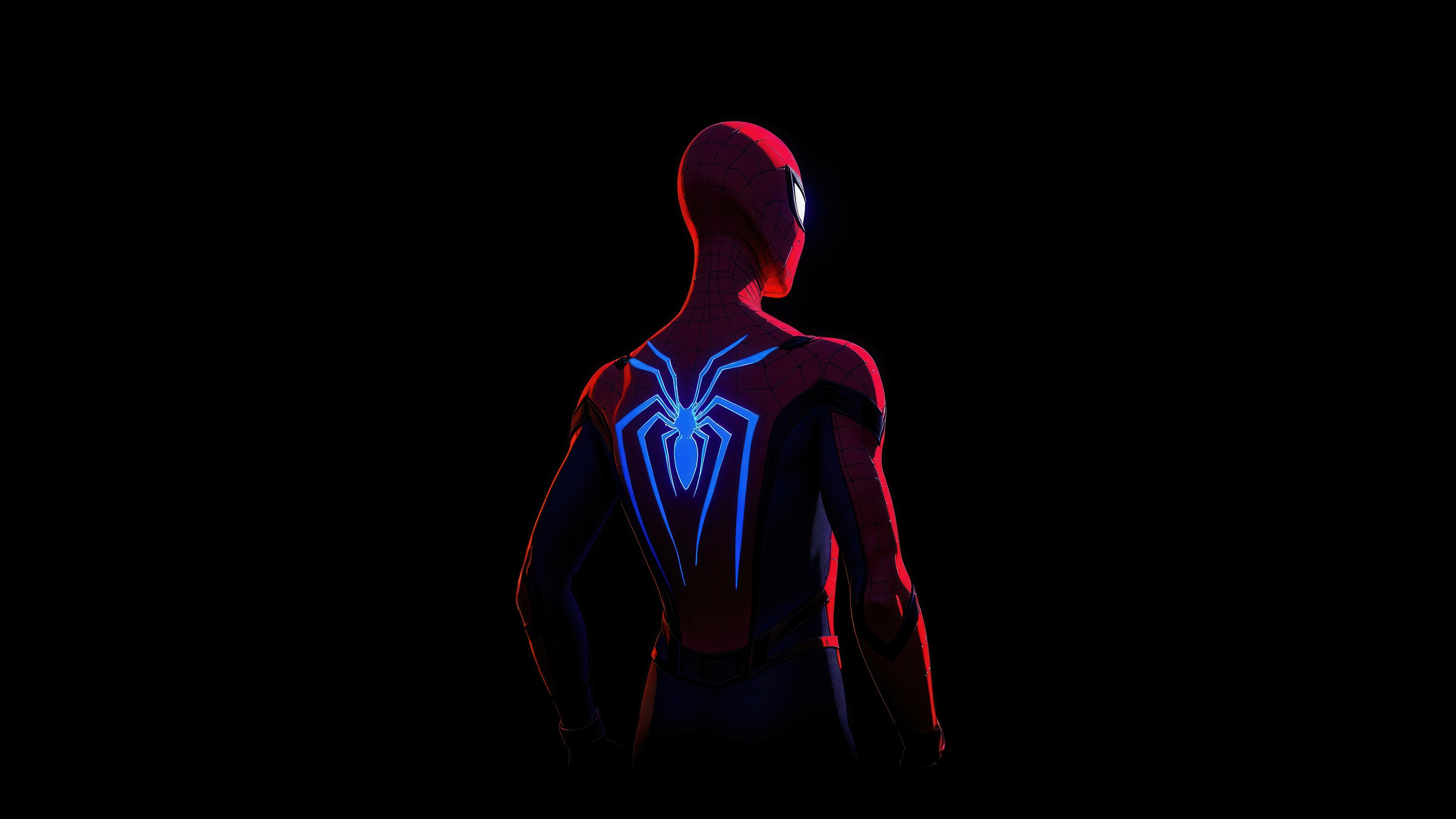 The Spectacular Spider-Man from behind HD Wallpaper