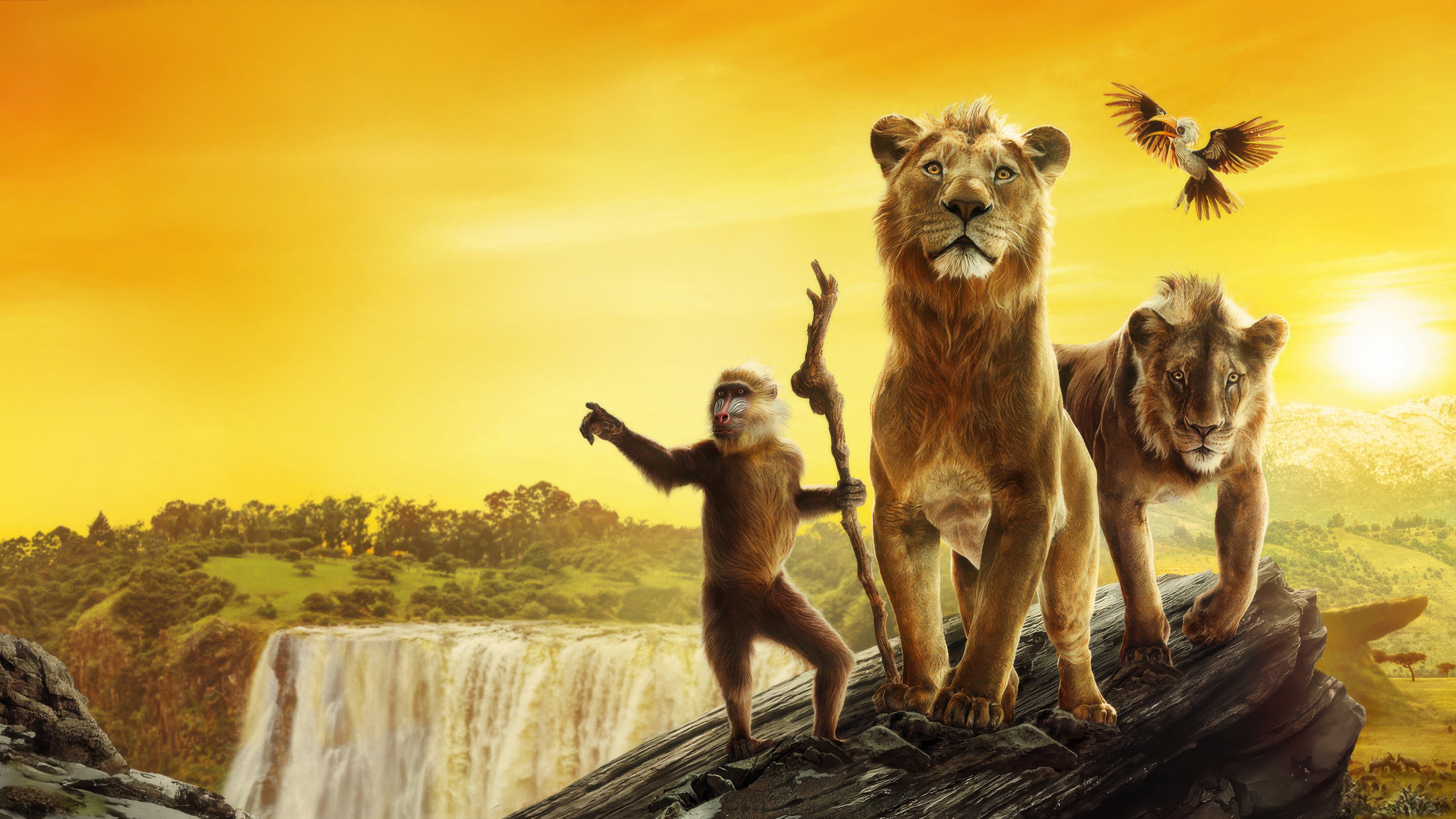 Mufasa The Lion King D Box Poster HD Wallpaper