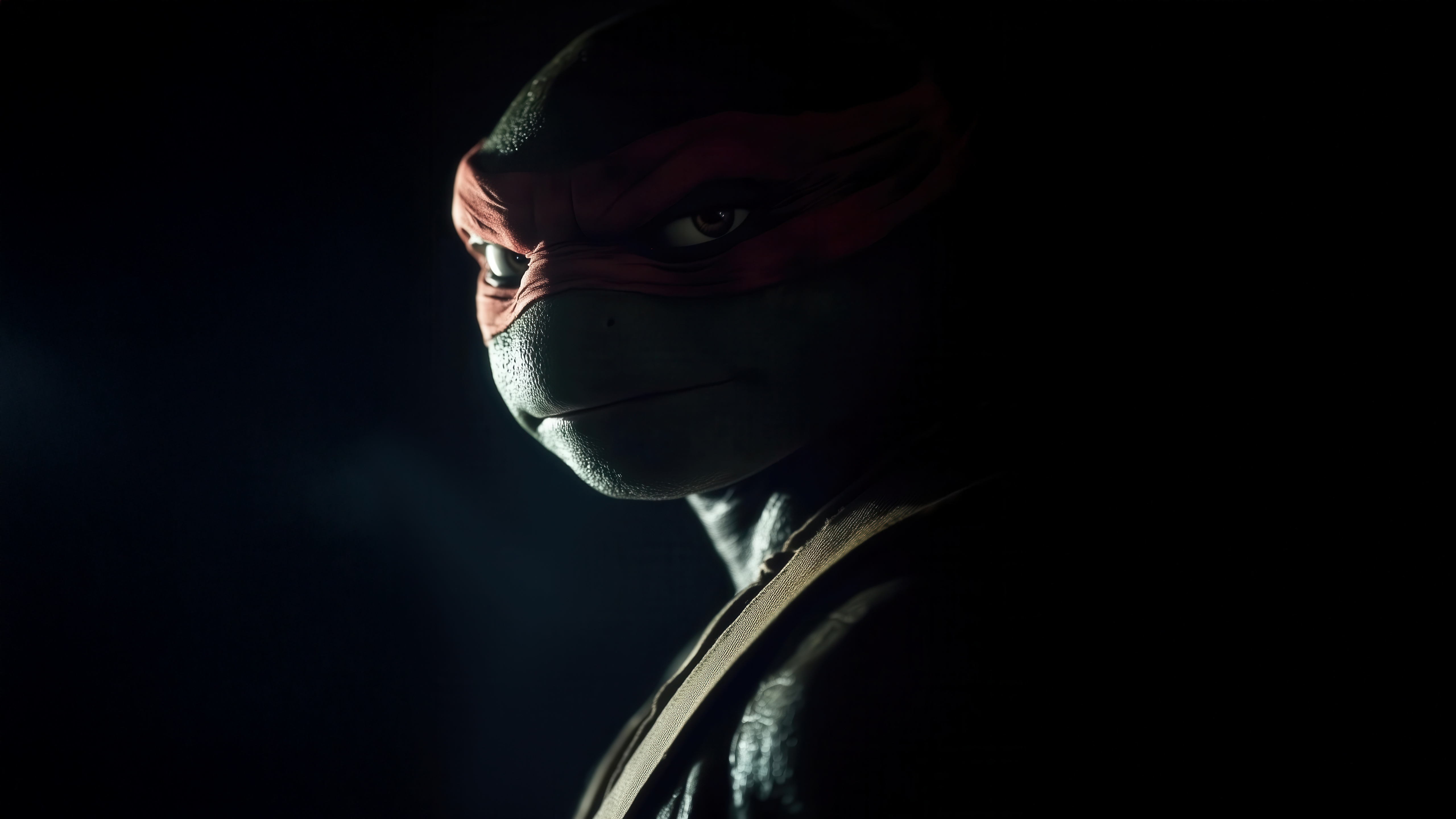 Raphael from Teenage Mutant Ninja Turtles HD Wallpaper