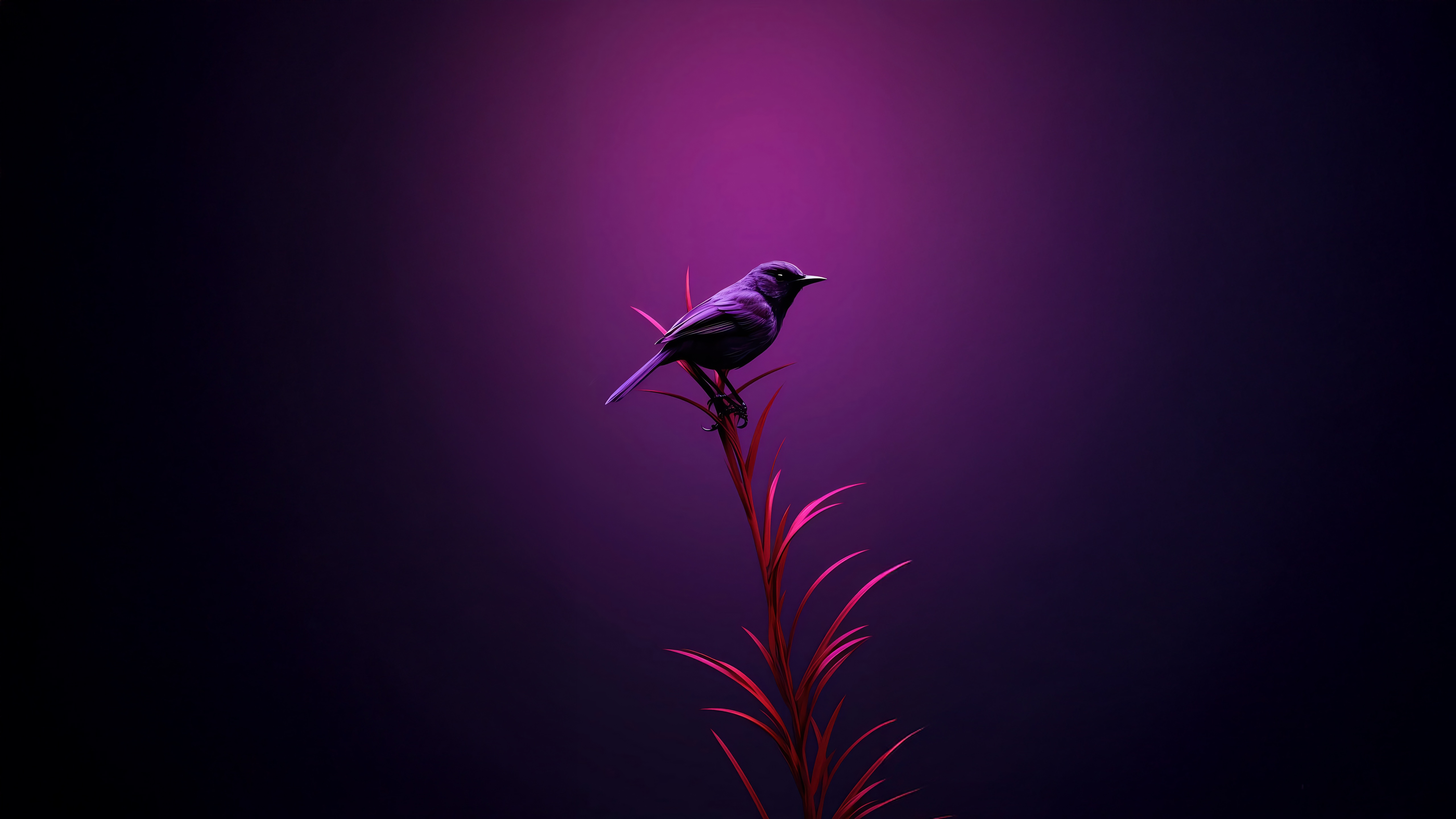 A purple bird sits on a red plant HD Wallpaper