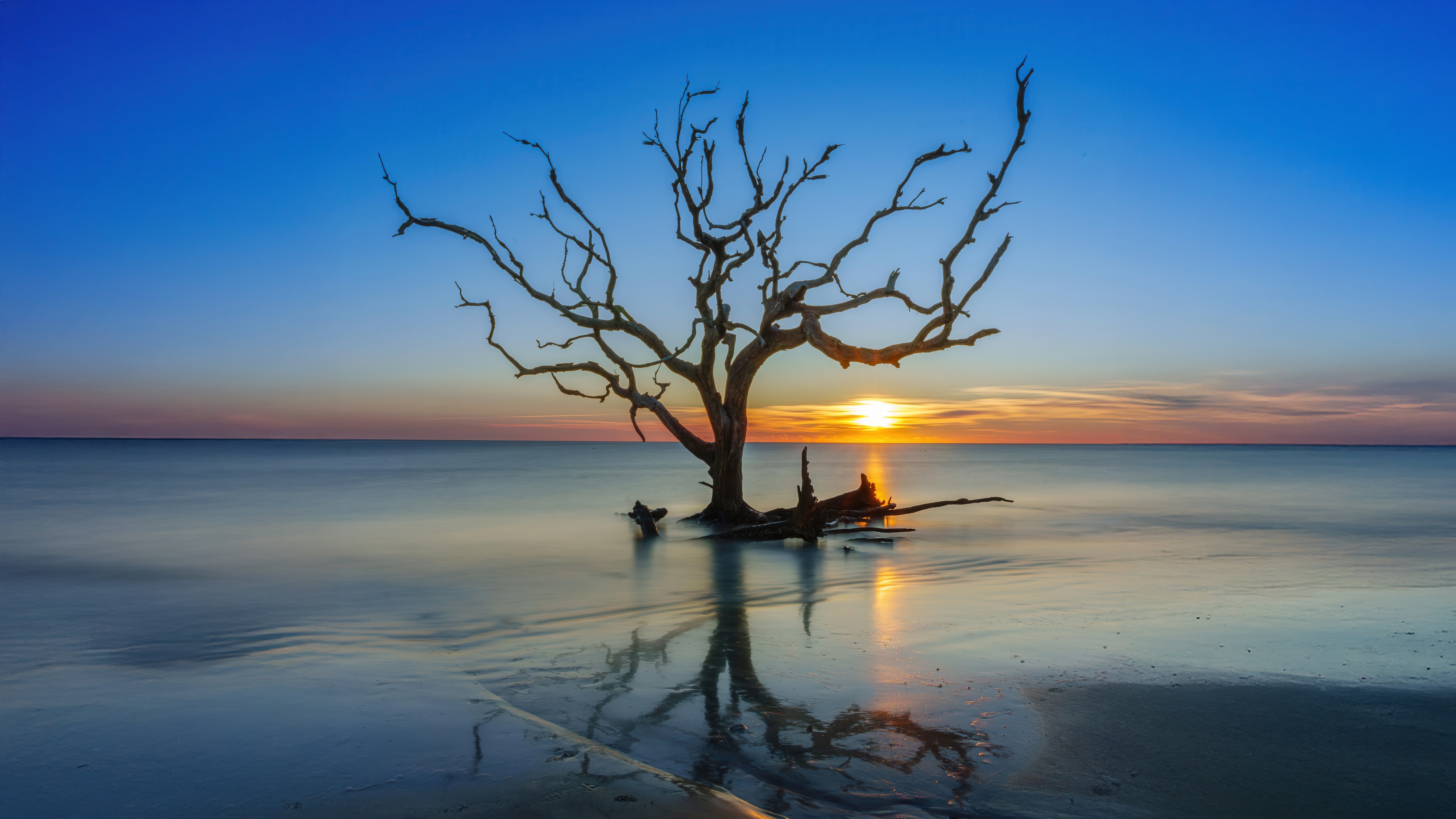 Dead Tree in the Ocean at Sunset, Jekyll Island HD Wallpaper
