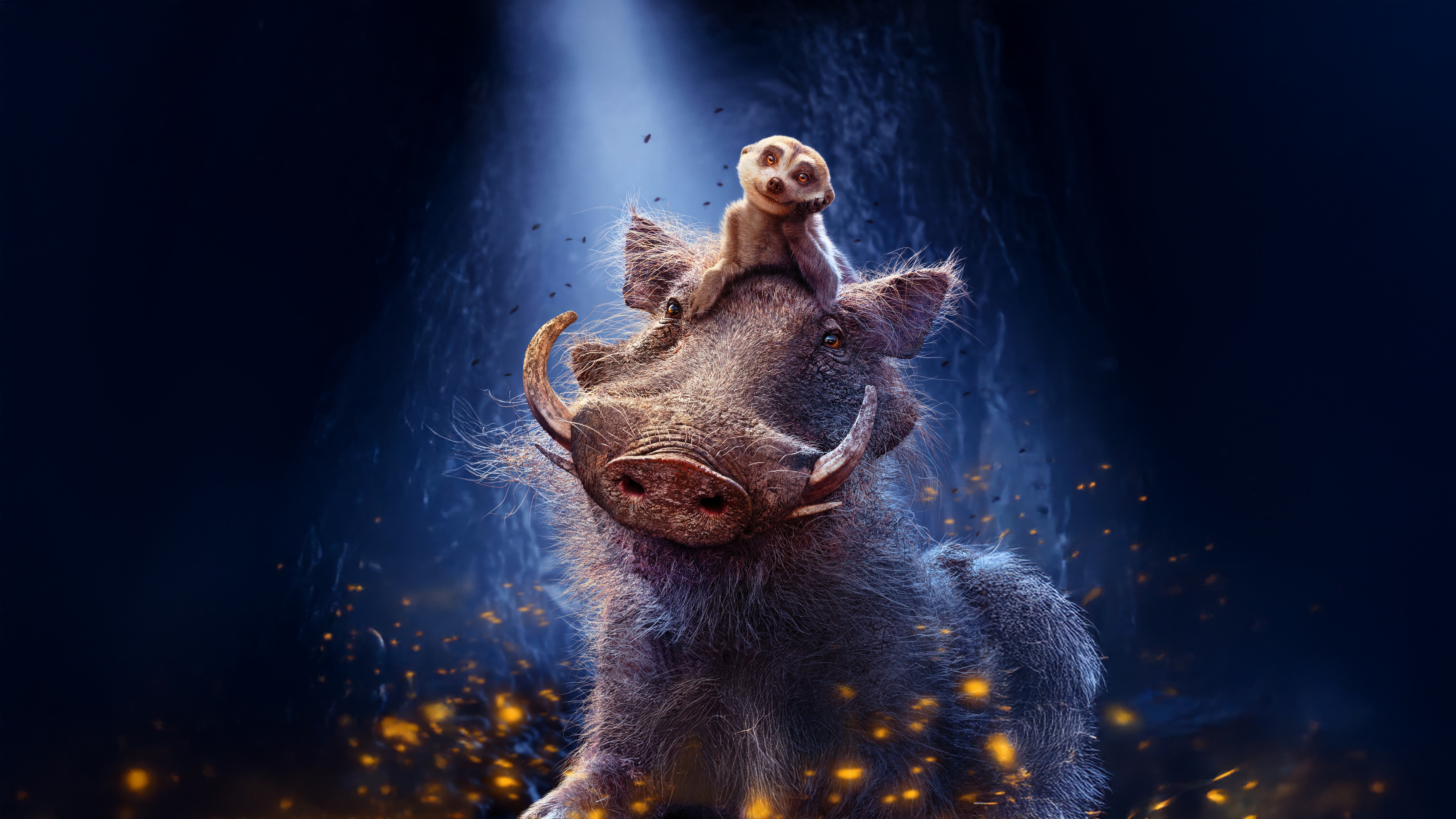 Timon and Pumbaa from The Lion King HD Wallpaper