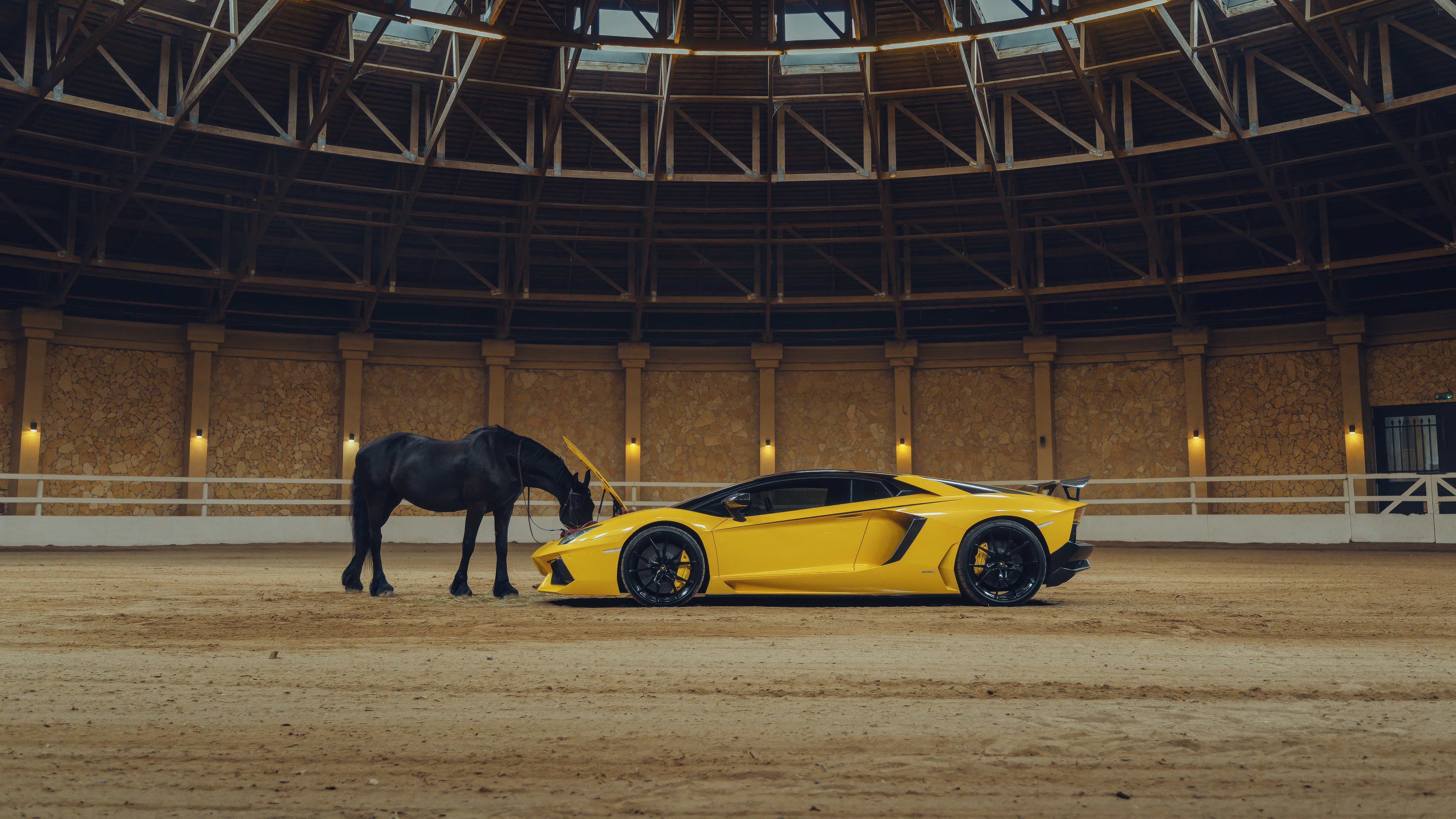 Black Horse and Yellow Lamborghini Aventador in Arena HD Wallpaper