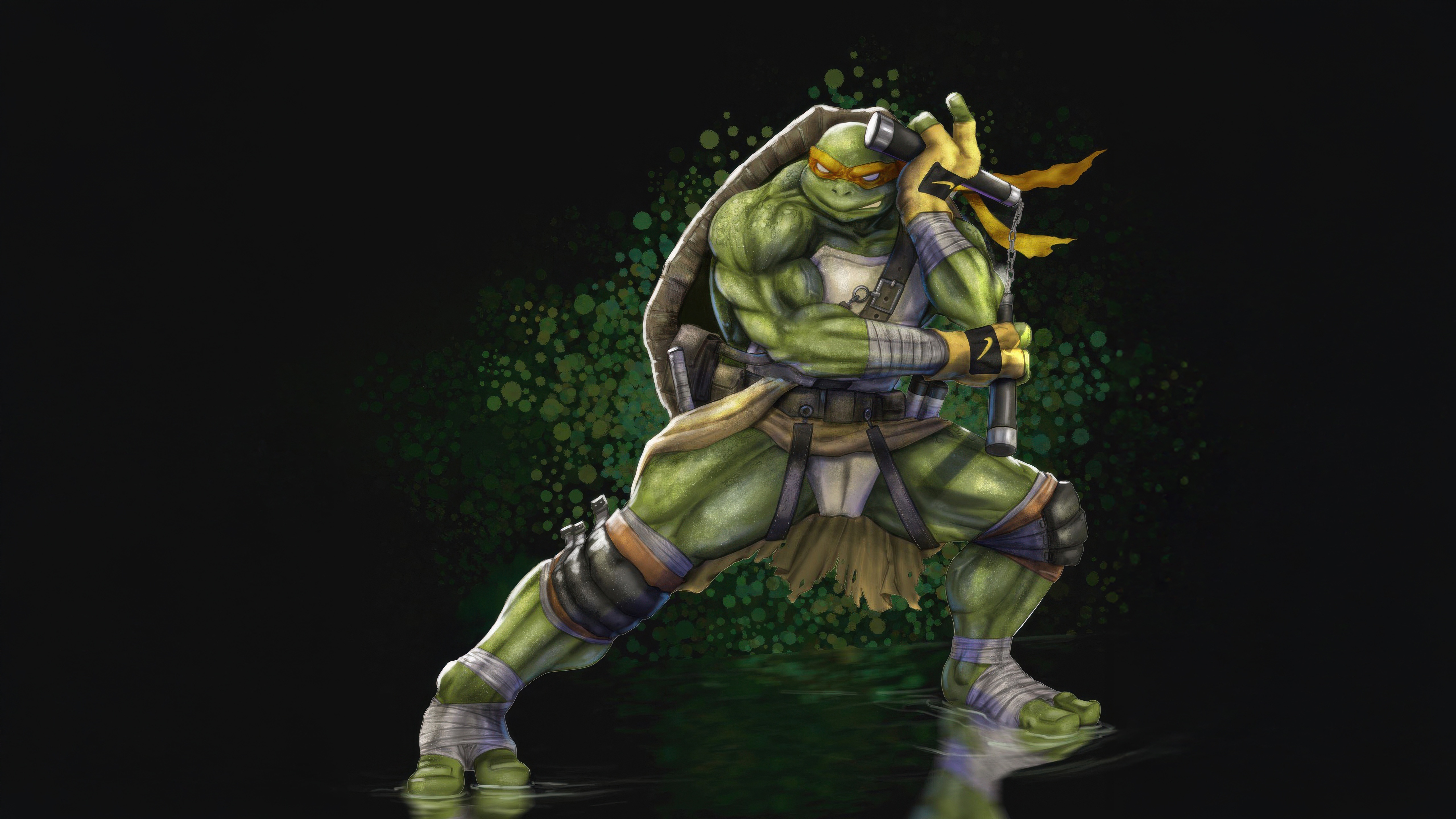 Michelangelo from TMNT in a fighting stance HD Wallpaper
