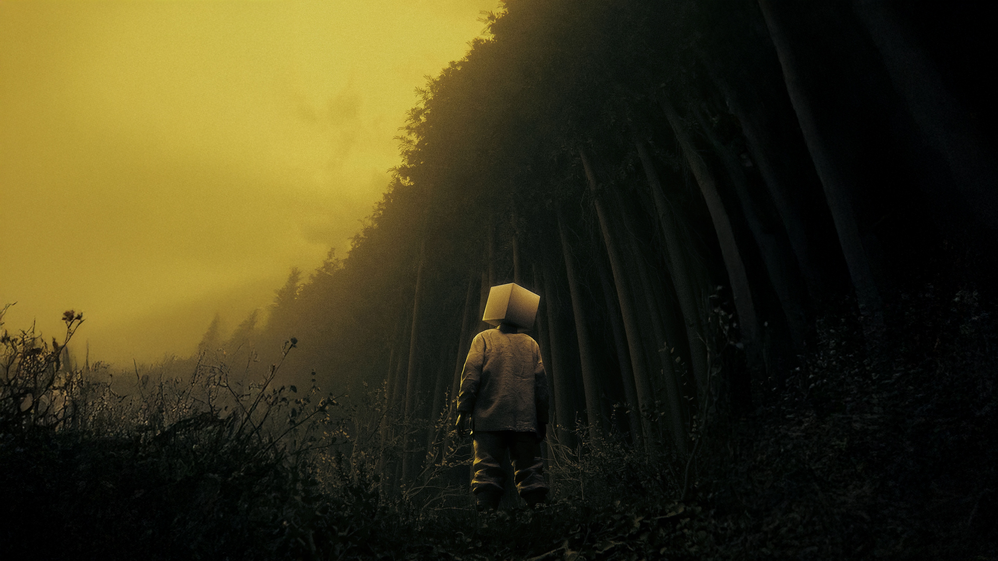 Child with box head in a dark forest HD Wallpaper