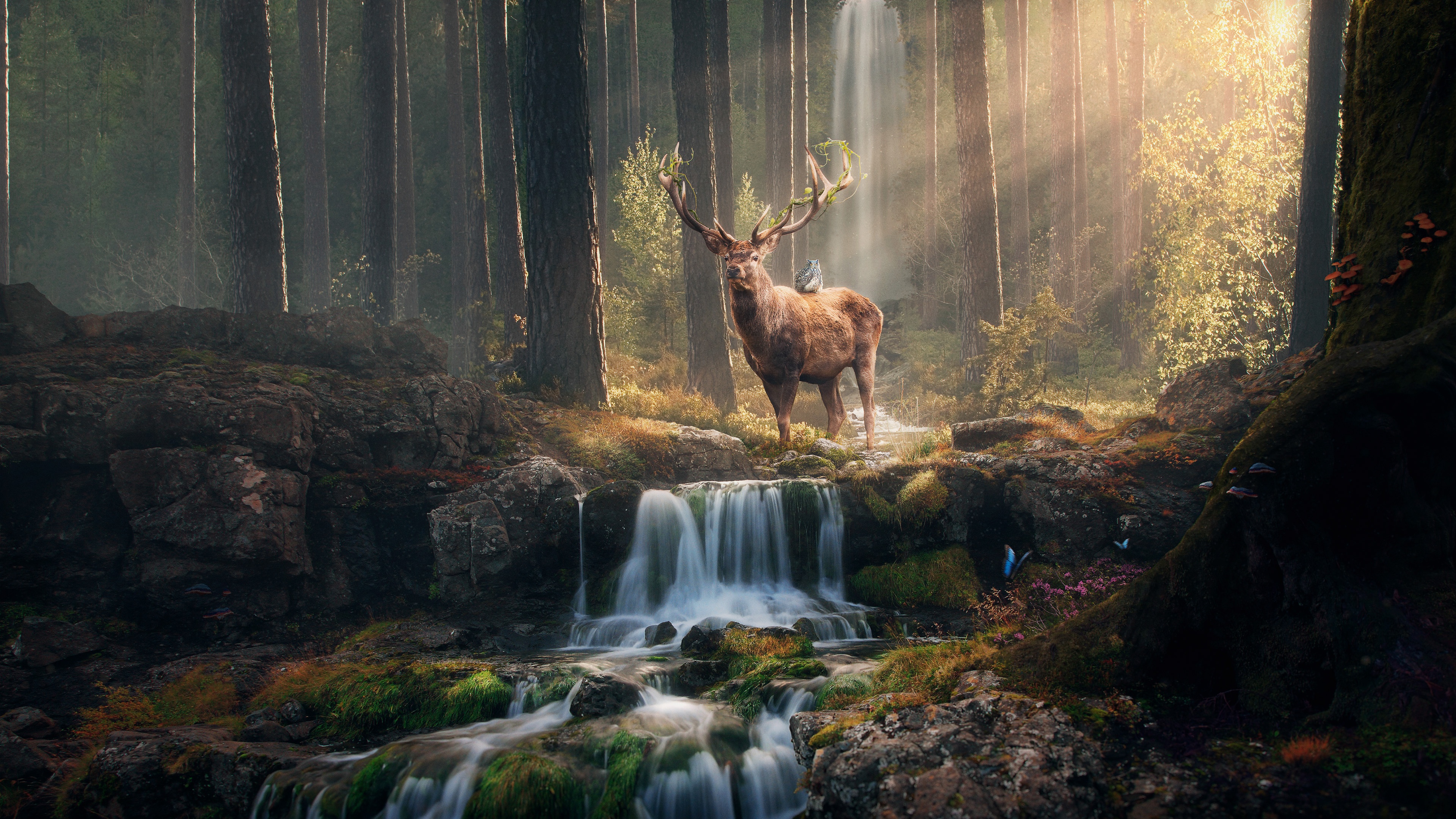 A majestic deer stands by a waterfall in a sunlit forest HD Wallpaper