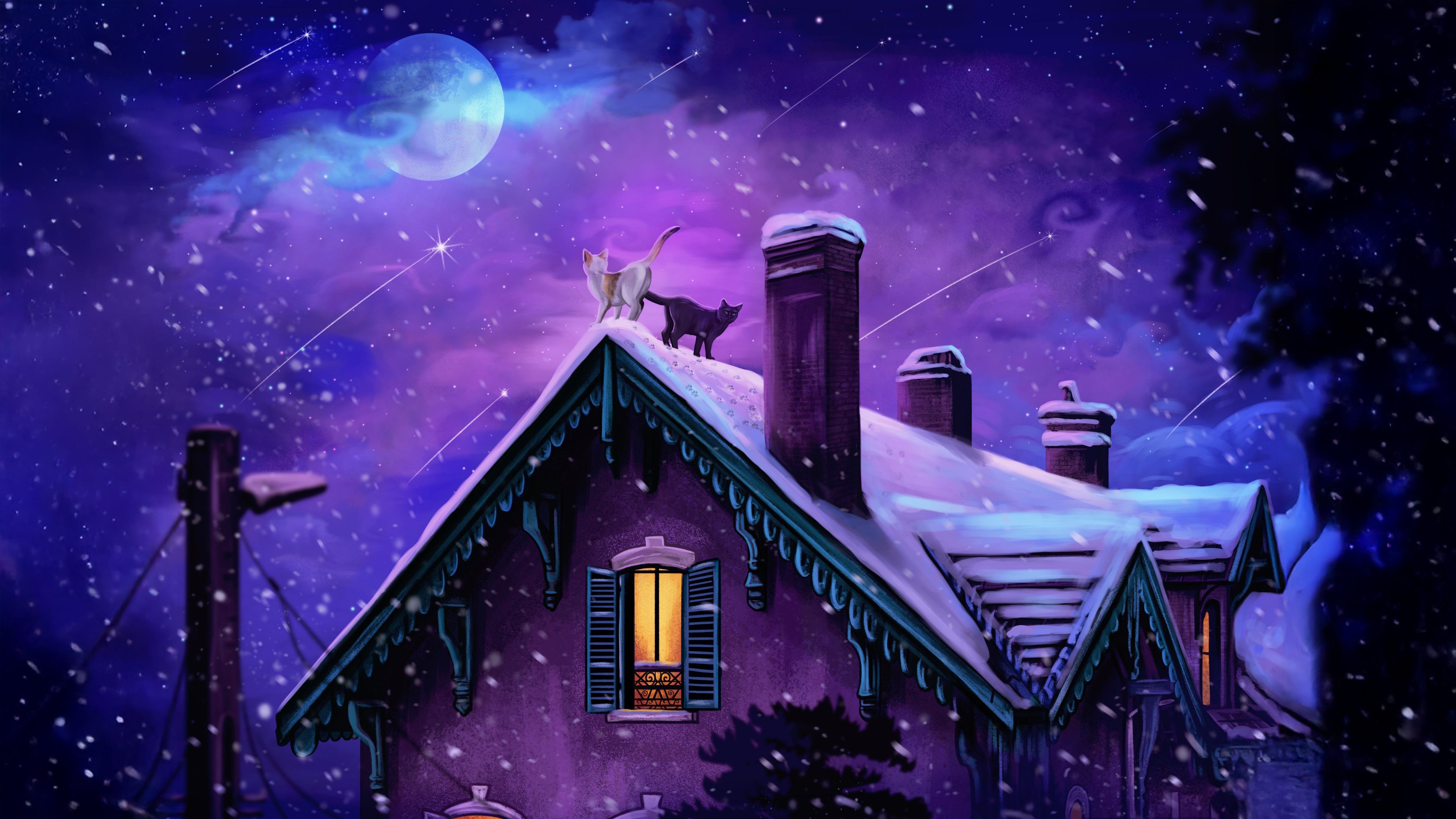 Cats On A Snowy Night HD Wallpaper