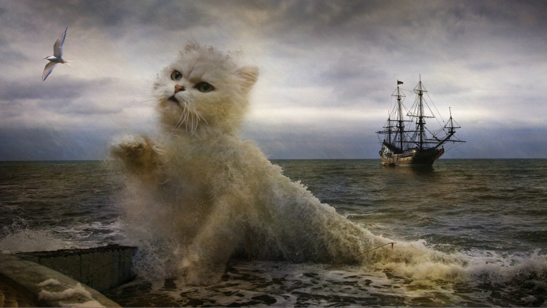 Giant cat emerging from the sea near a sailing ship HD Wallpaper