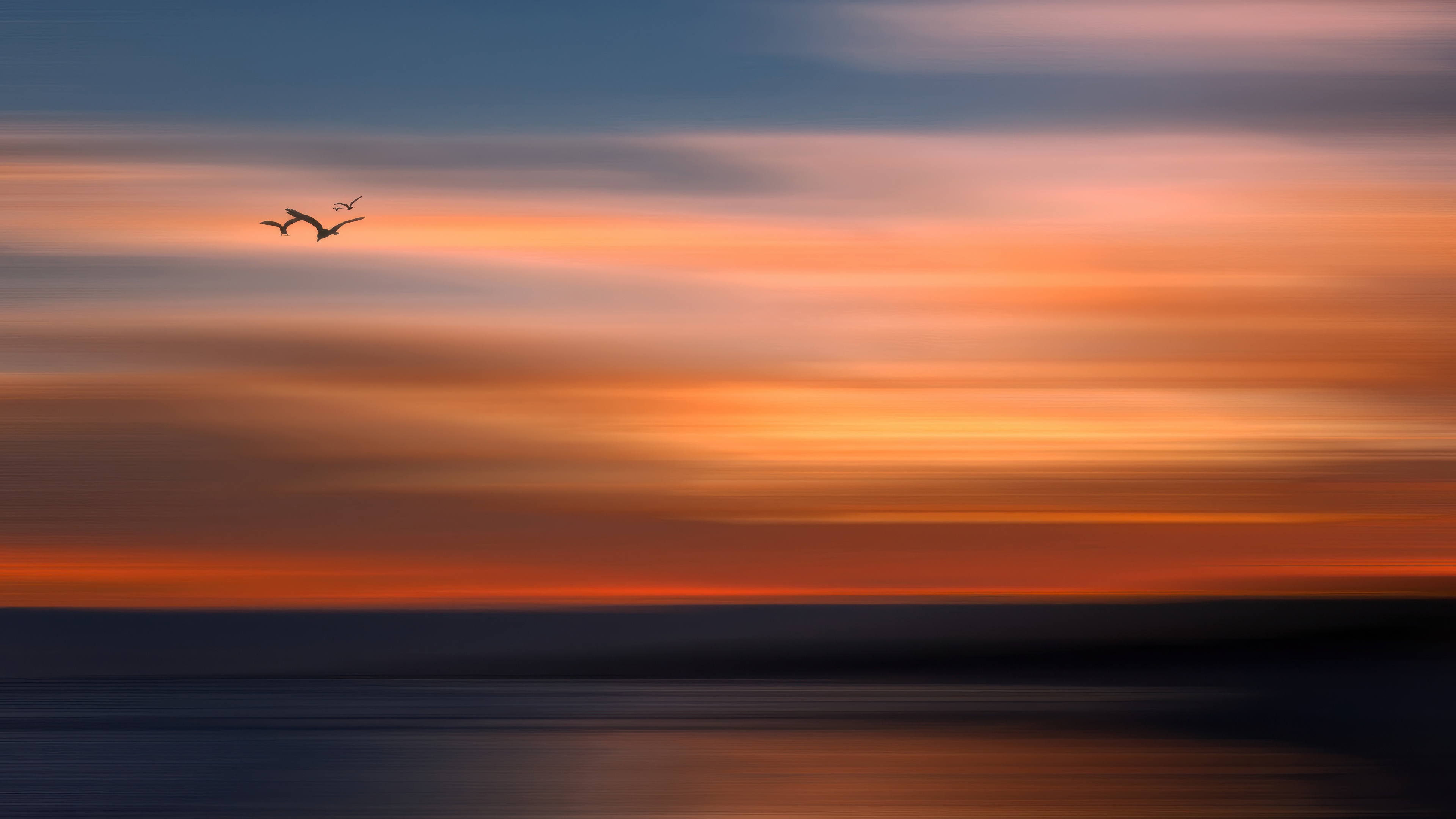 Birds flying over the ocean at sunset HD Wallpaper