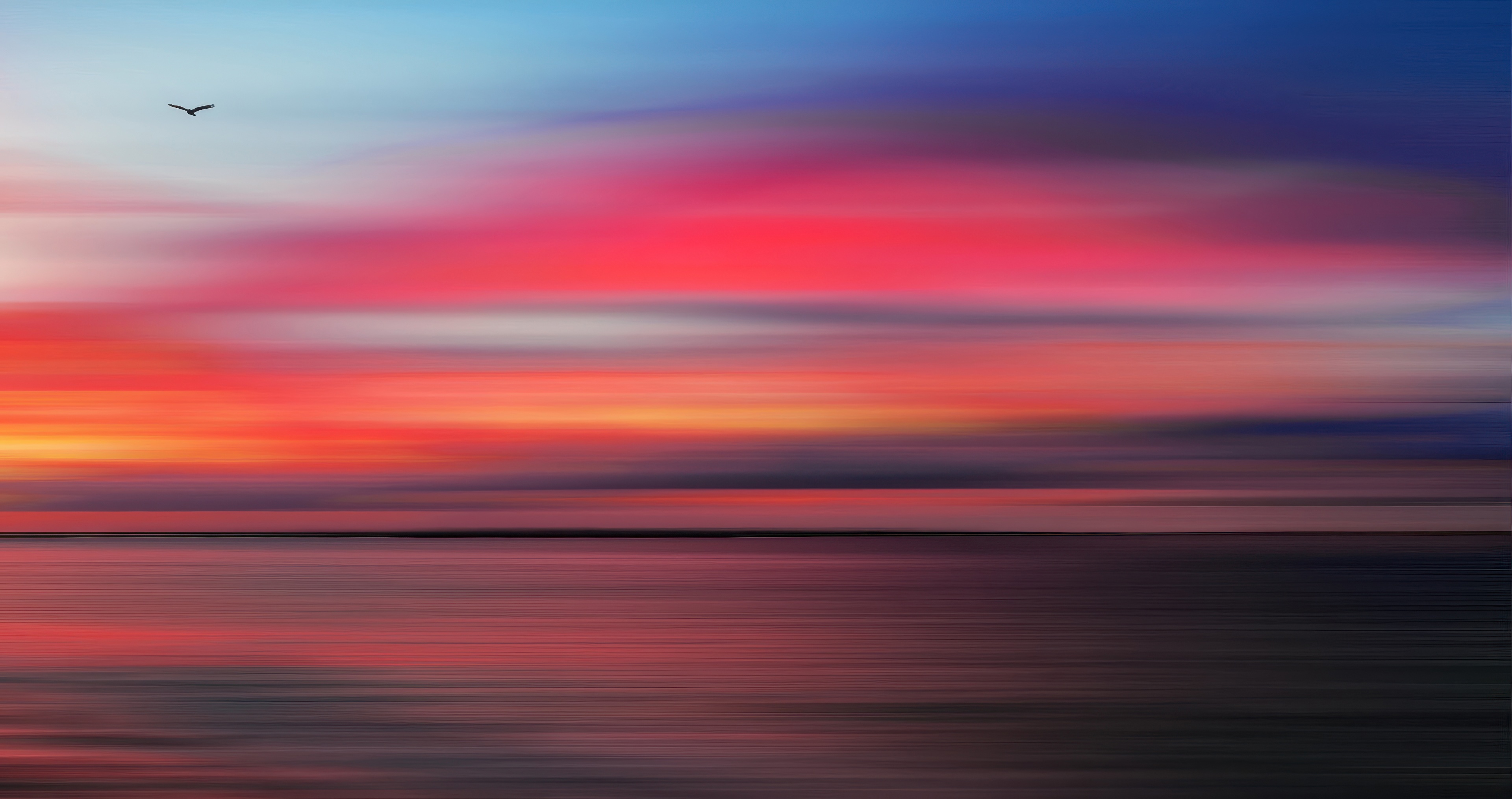 Bird flying over a colorful abstract sunset over water HD Wallpaper