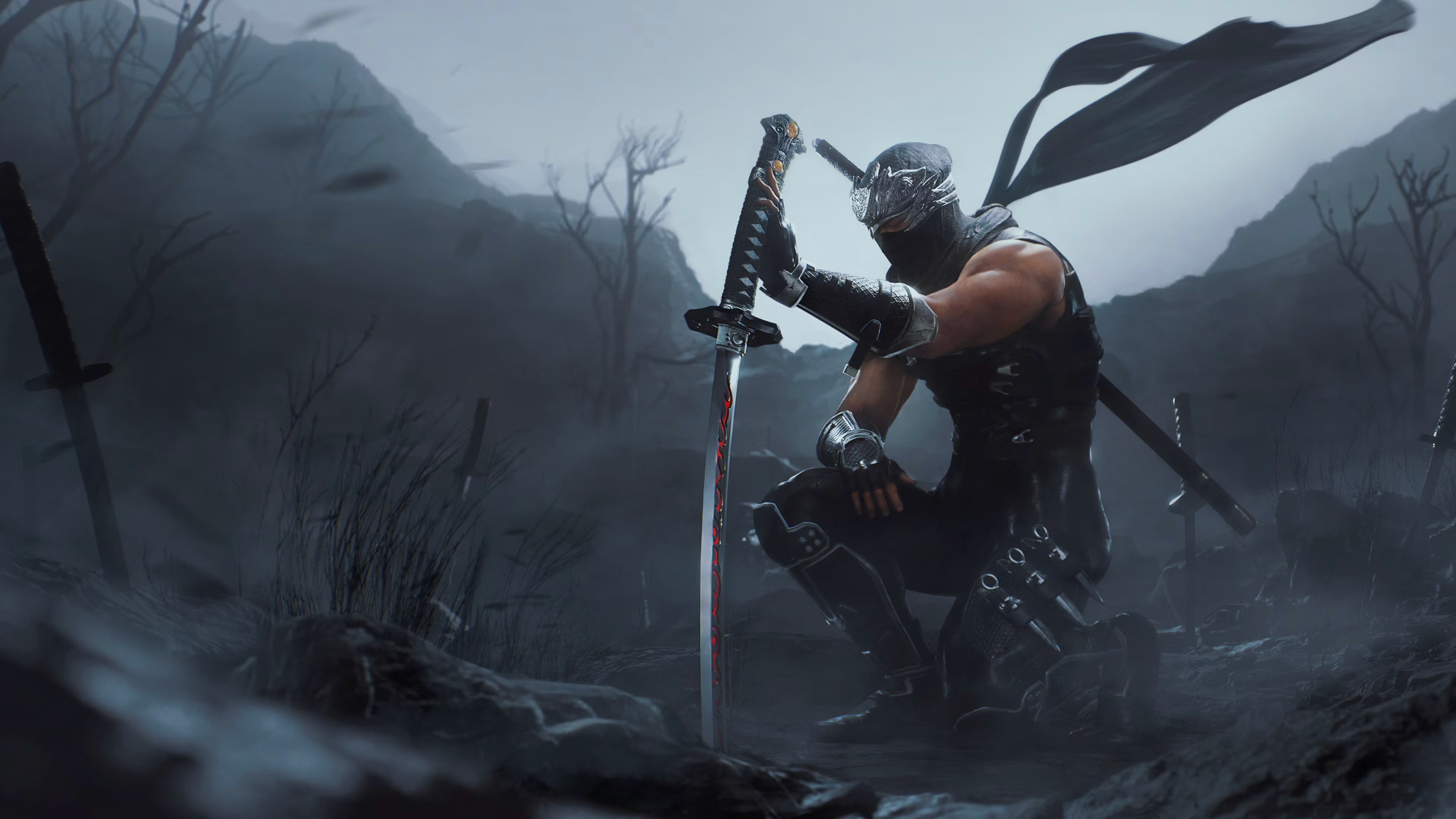 Ninja Gaiden 2 Black Ryu Hayabusa HD Wallpaper