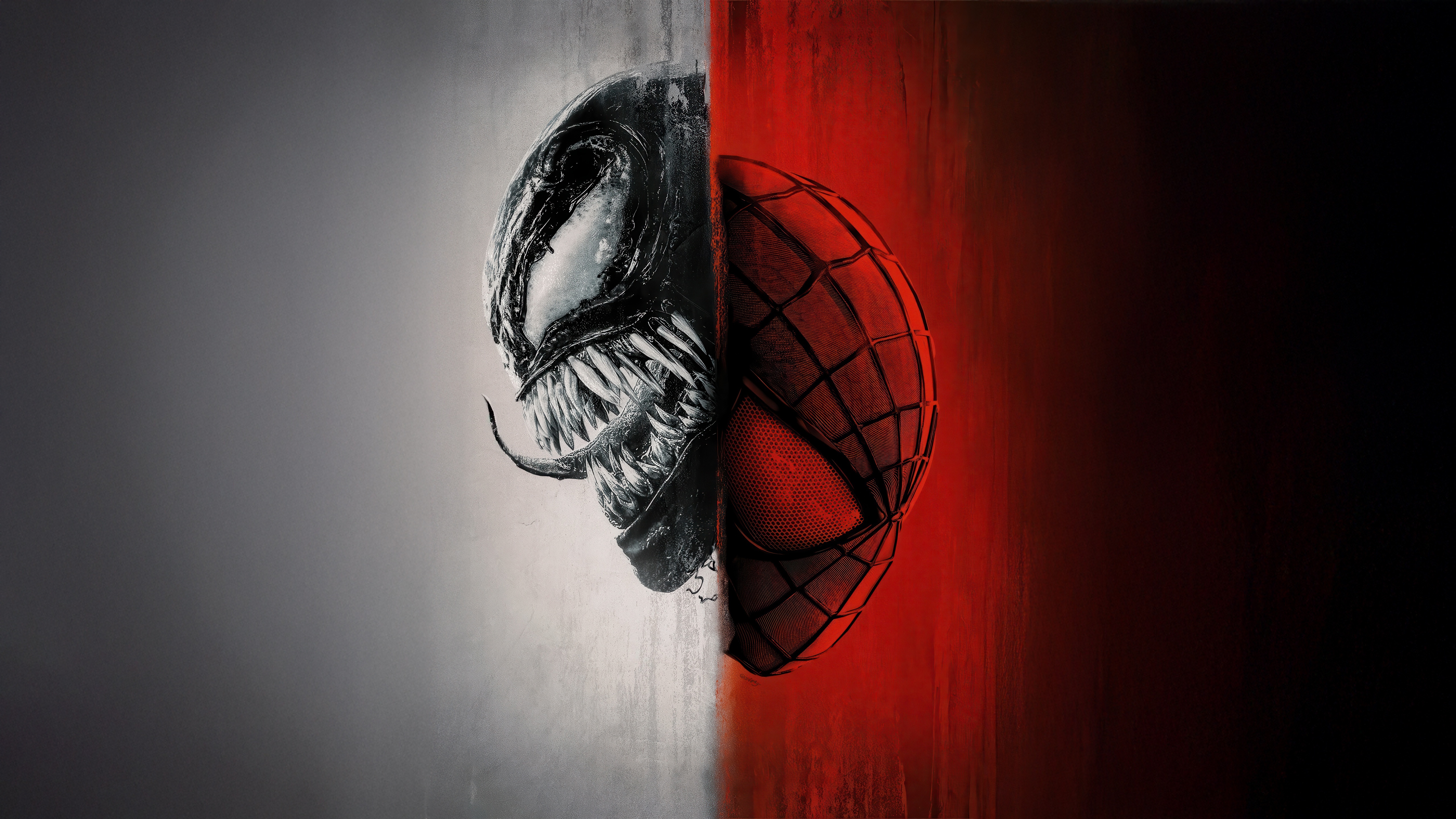 Venom and Spiderman Confrontation HD Wallpaper