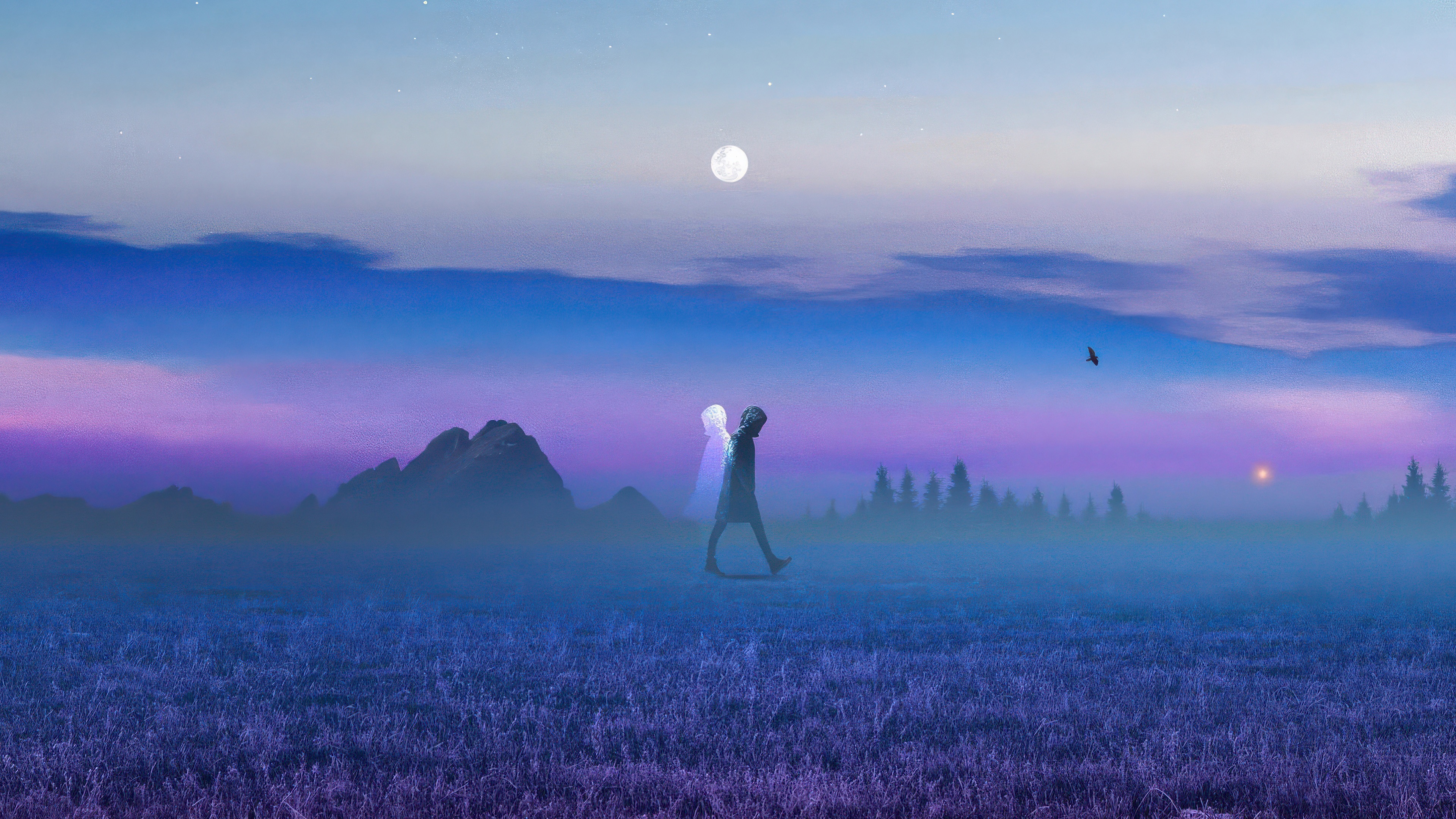 A figure walks with a translucent apparition in a misty field HD Wallpaper