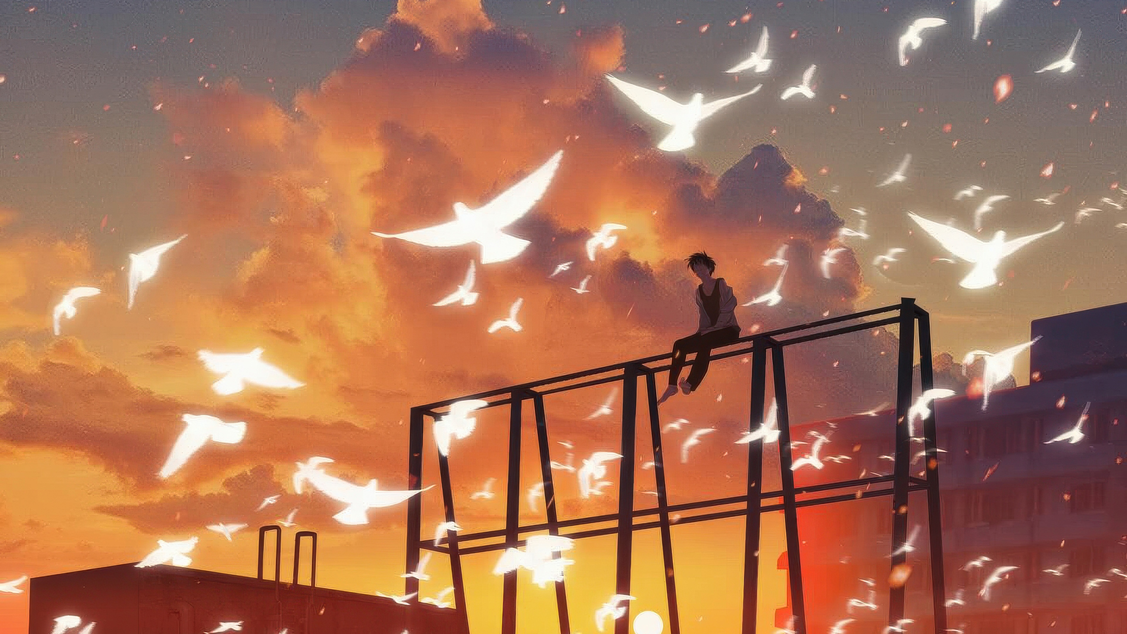 Person Sitting Alone Among Birds at Sunset HD Wallpaper