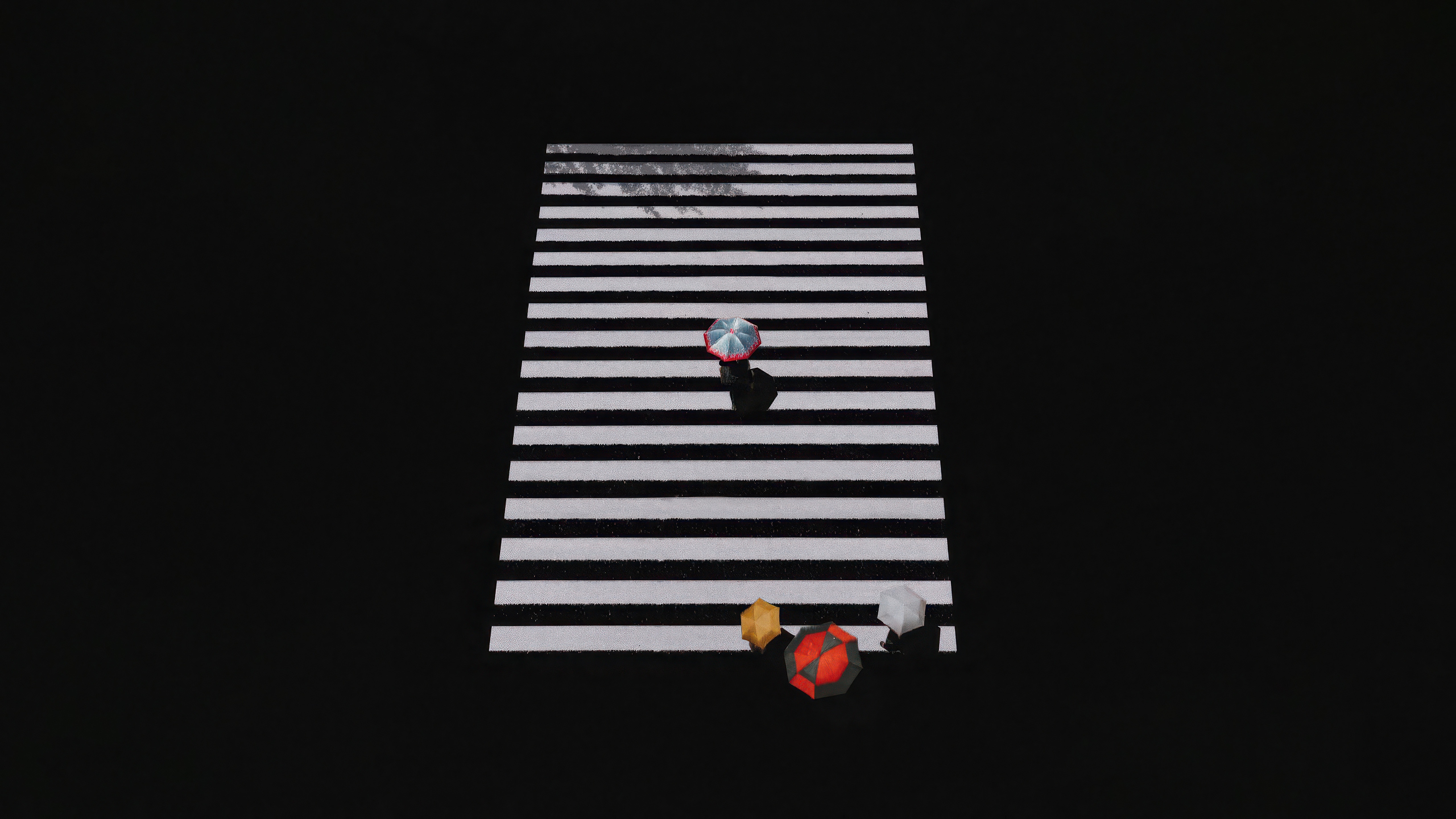 People with umbrellas on a monochrome crosswalk HD Wallpaper