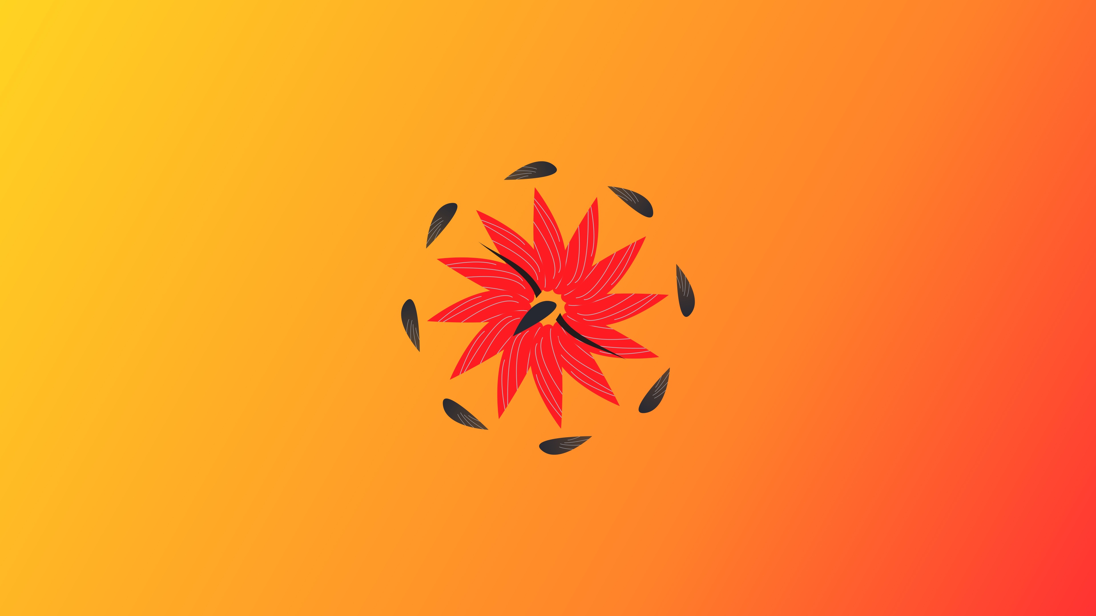 Red flower with black seeds on orange background HD Wallpaper