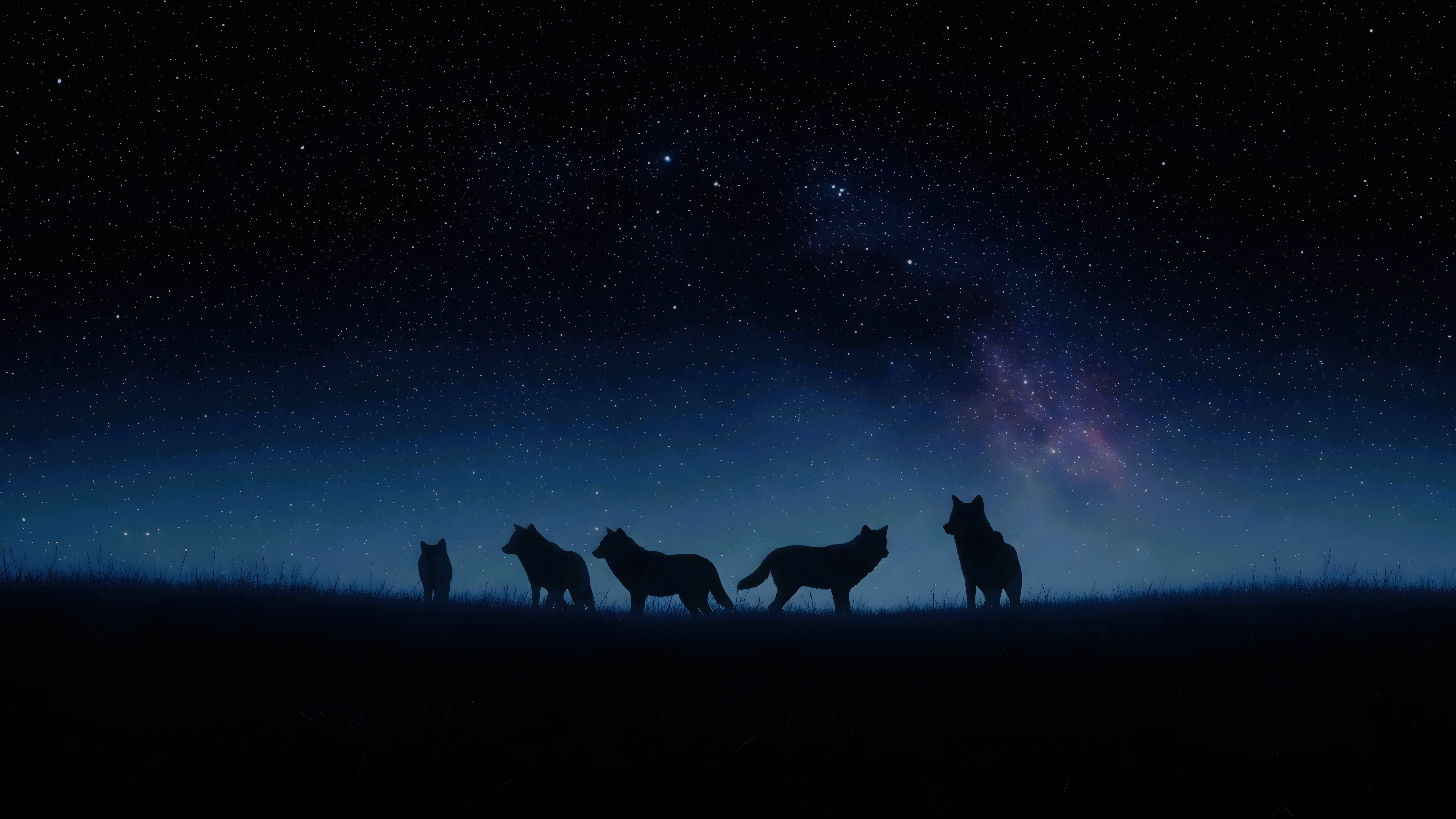 Wolves silhouetted against a starry night sky HD Wallpaper