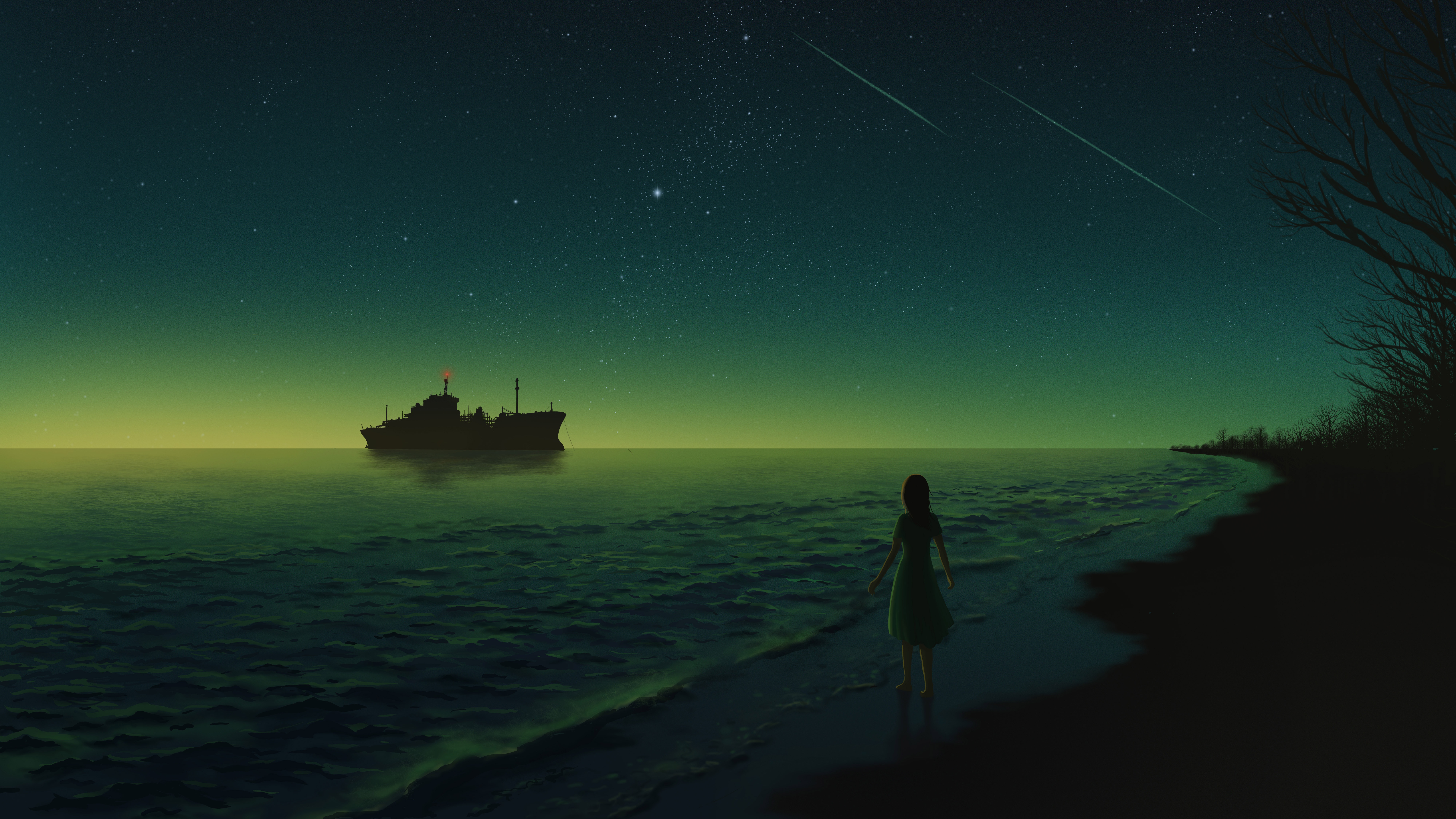 Girl on beach watching ship under starry sky HD Wallpaper