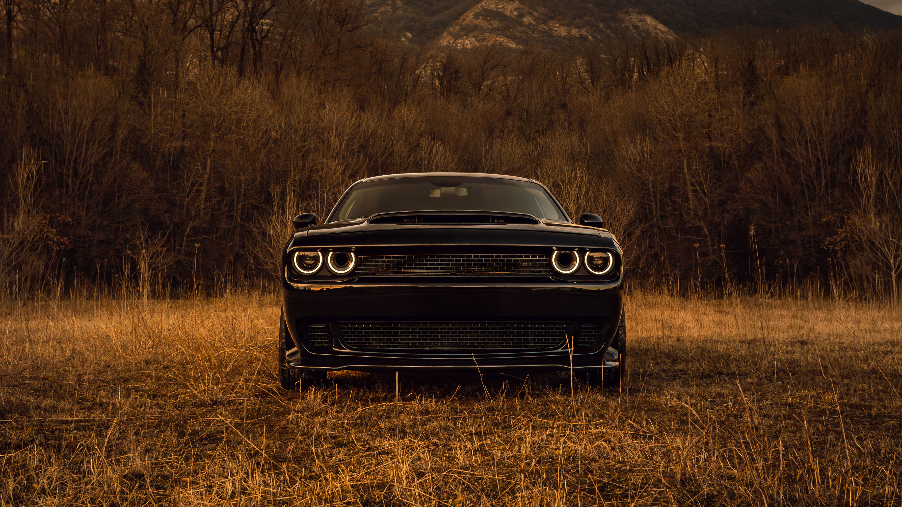 Black Dodge Challenger in a Field HD Wallpaper