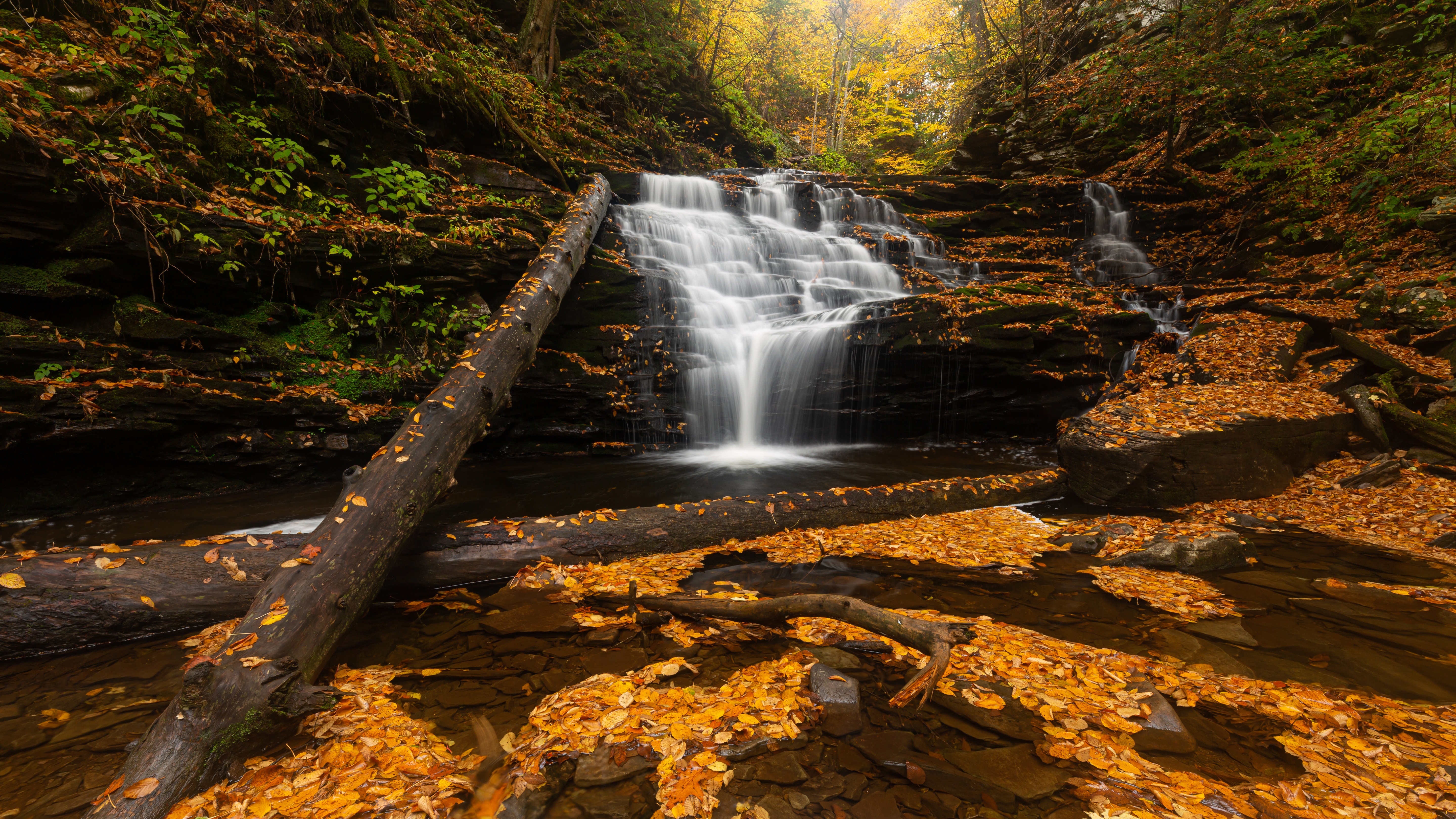 Waterfall in Autumn Forest with Fallen Logs HD Wallpaper