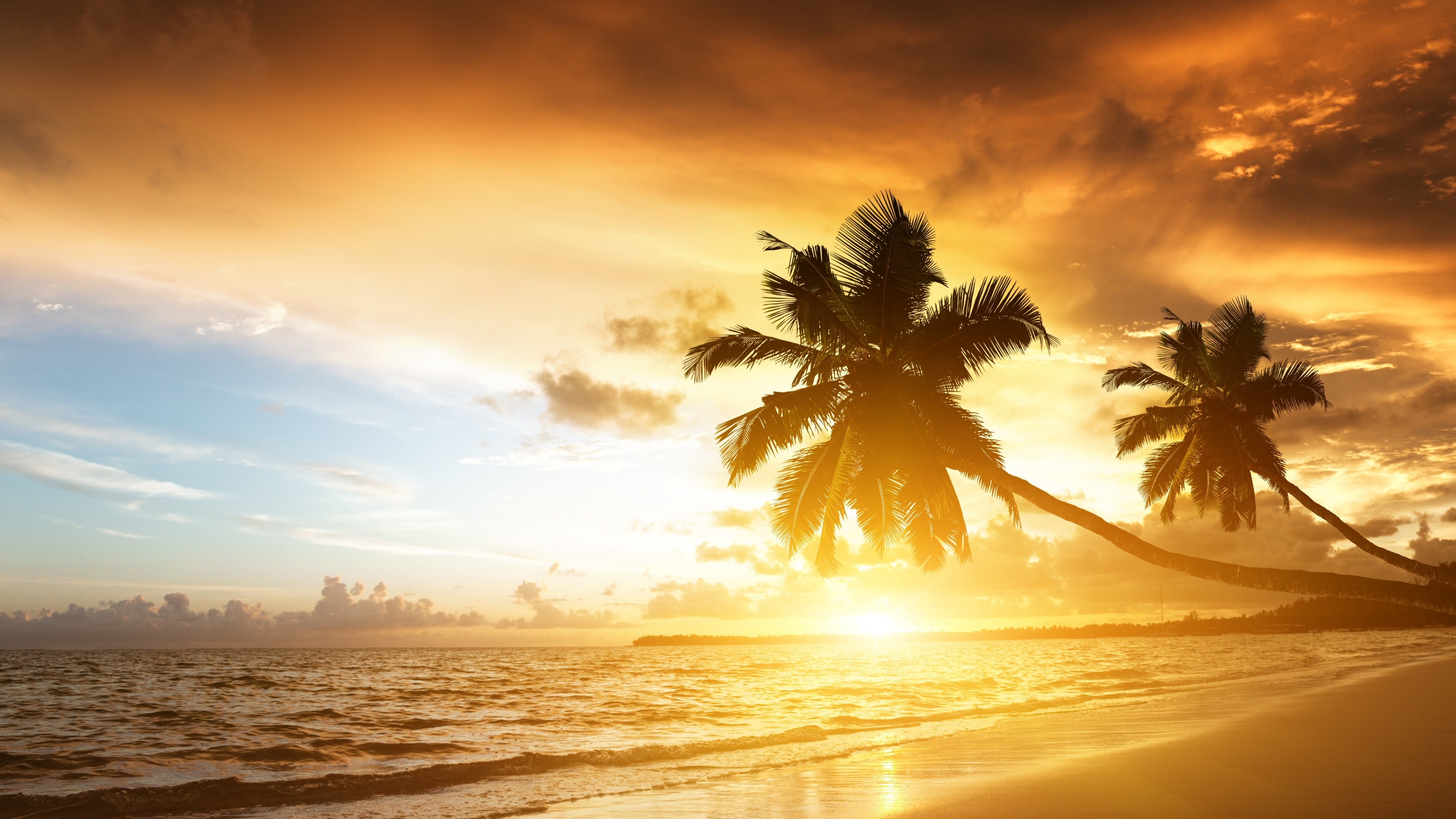 Sunset over a tropical beach with palm trees HD Wallpaper