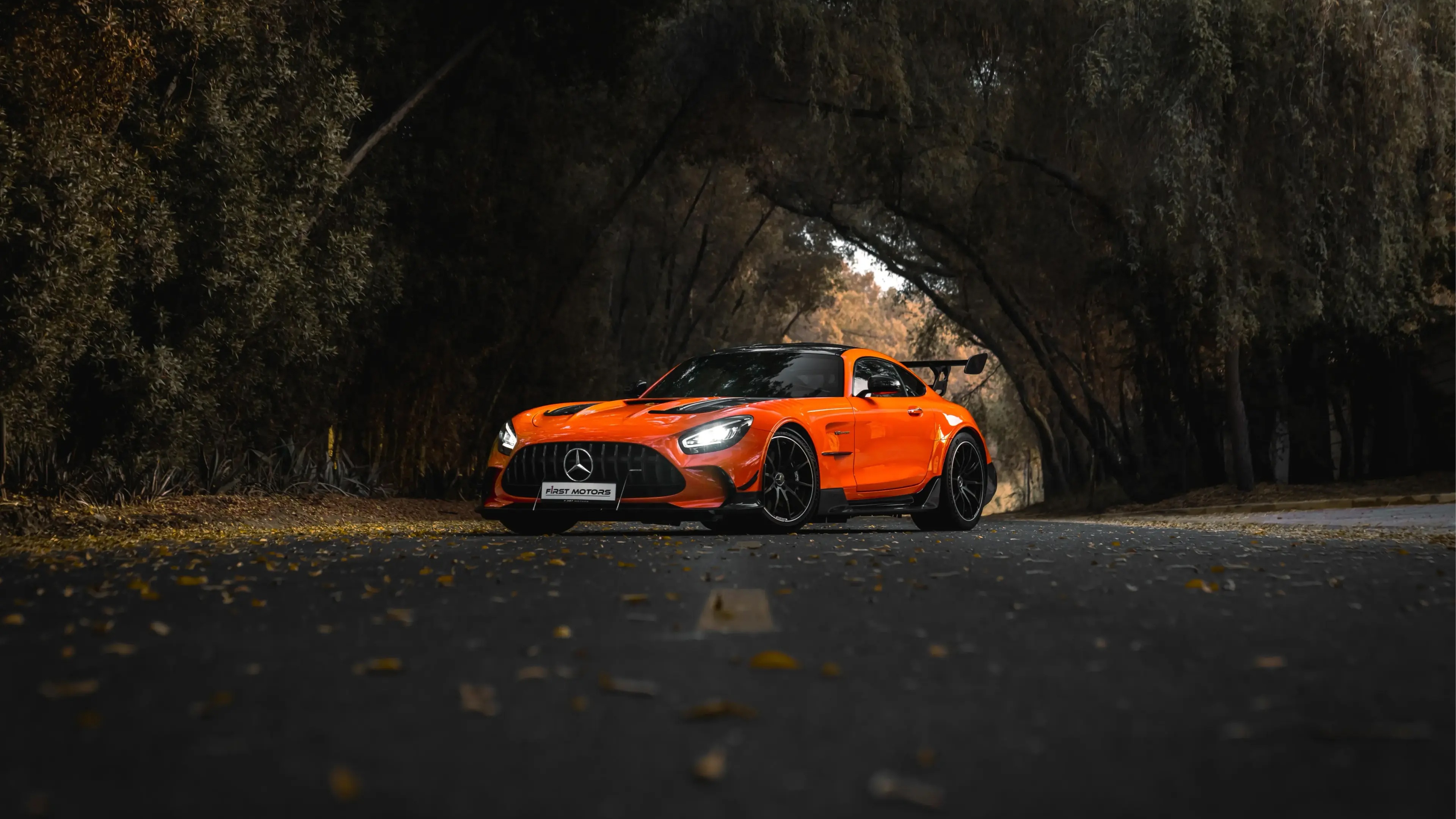 Orange Mercedes-AMG GT R on a Tree-Lined Road HD Wallpaper