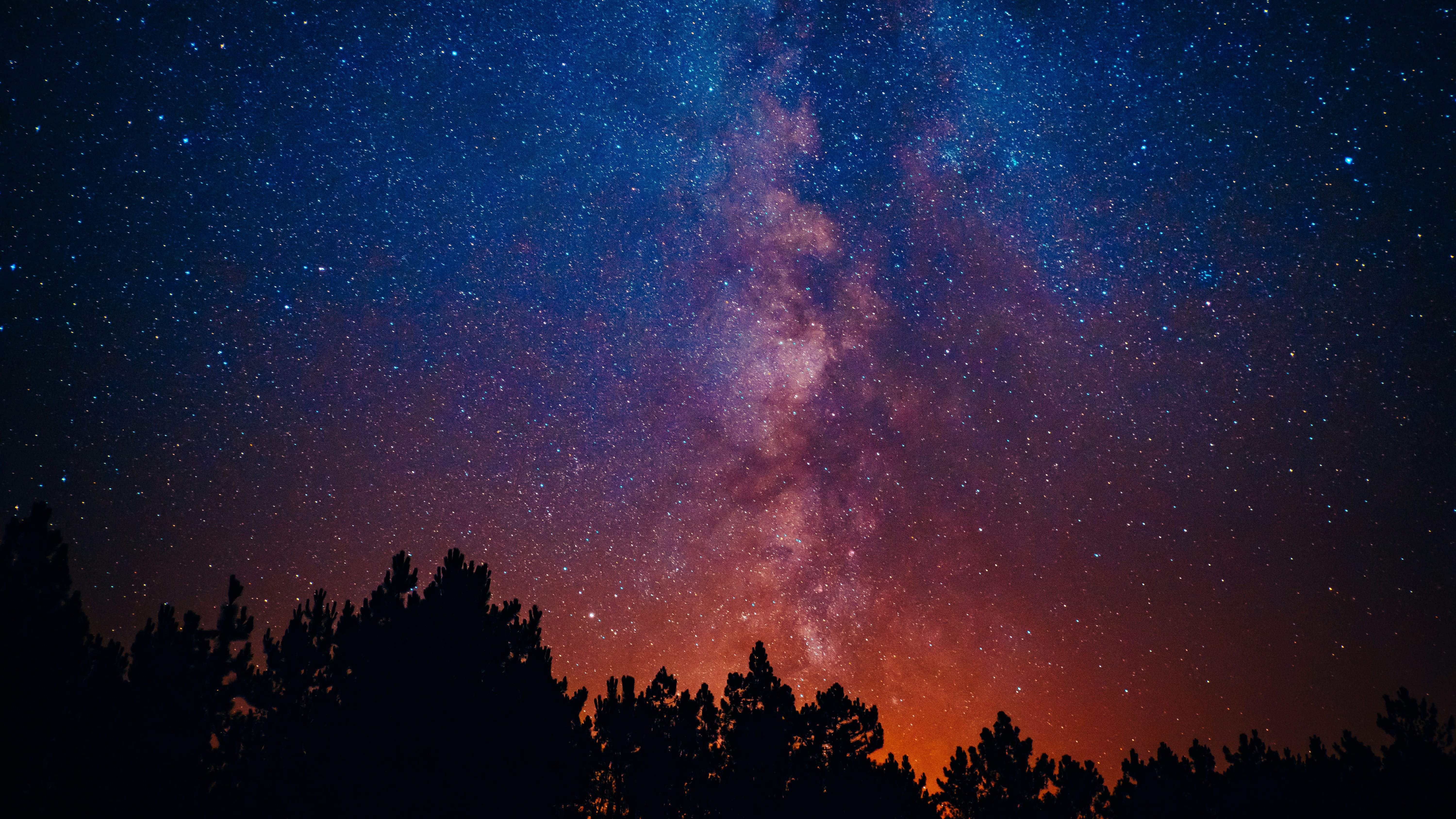 Milky Way Galaxy Over a Silhouetted Forest HD Wallpaper