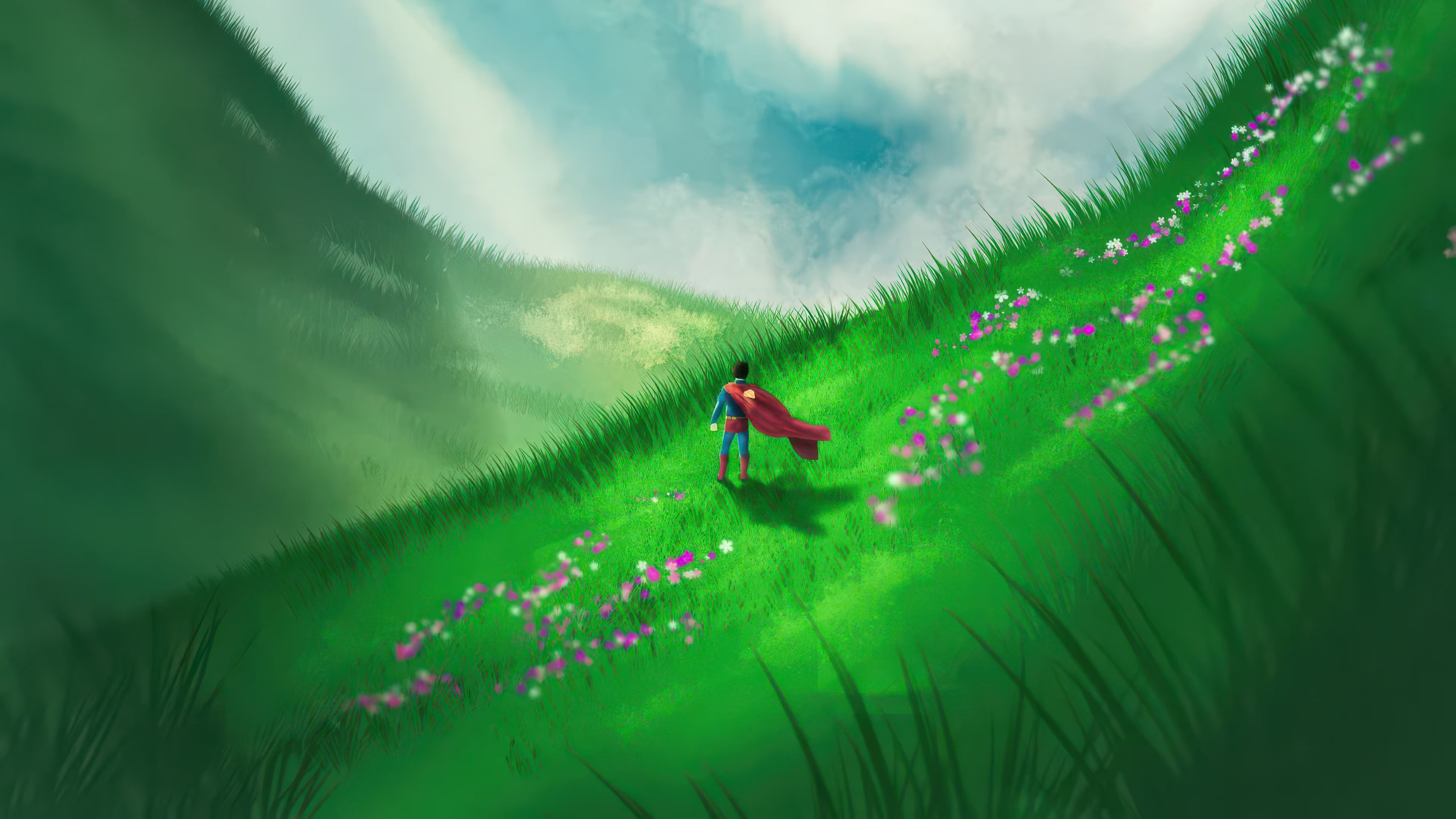 Superman in a field of flowers HD Wallpaper