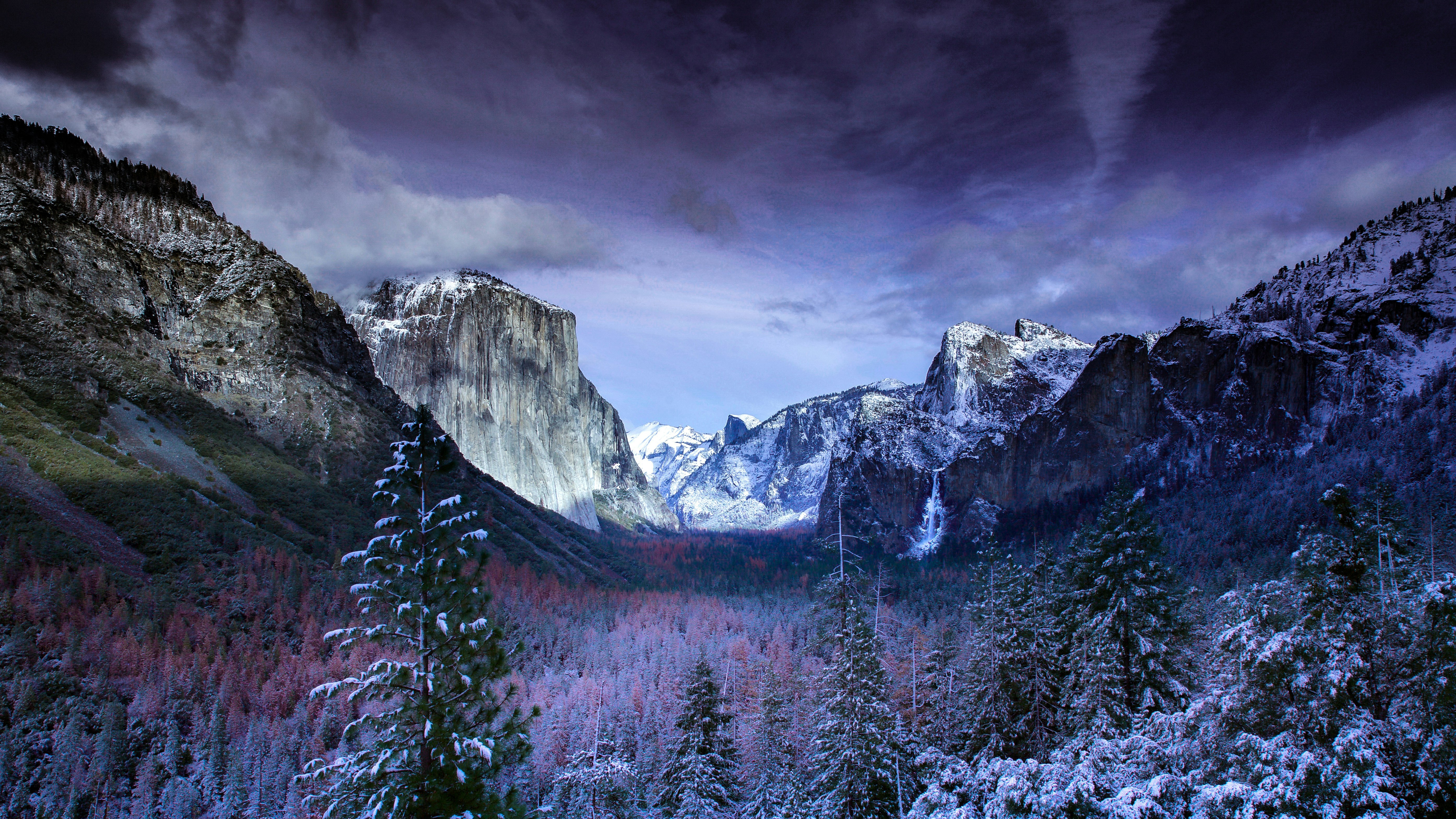 Yosemite Valley with snow-covered trees and mountains HD Wallpaper