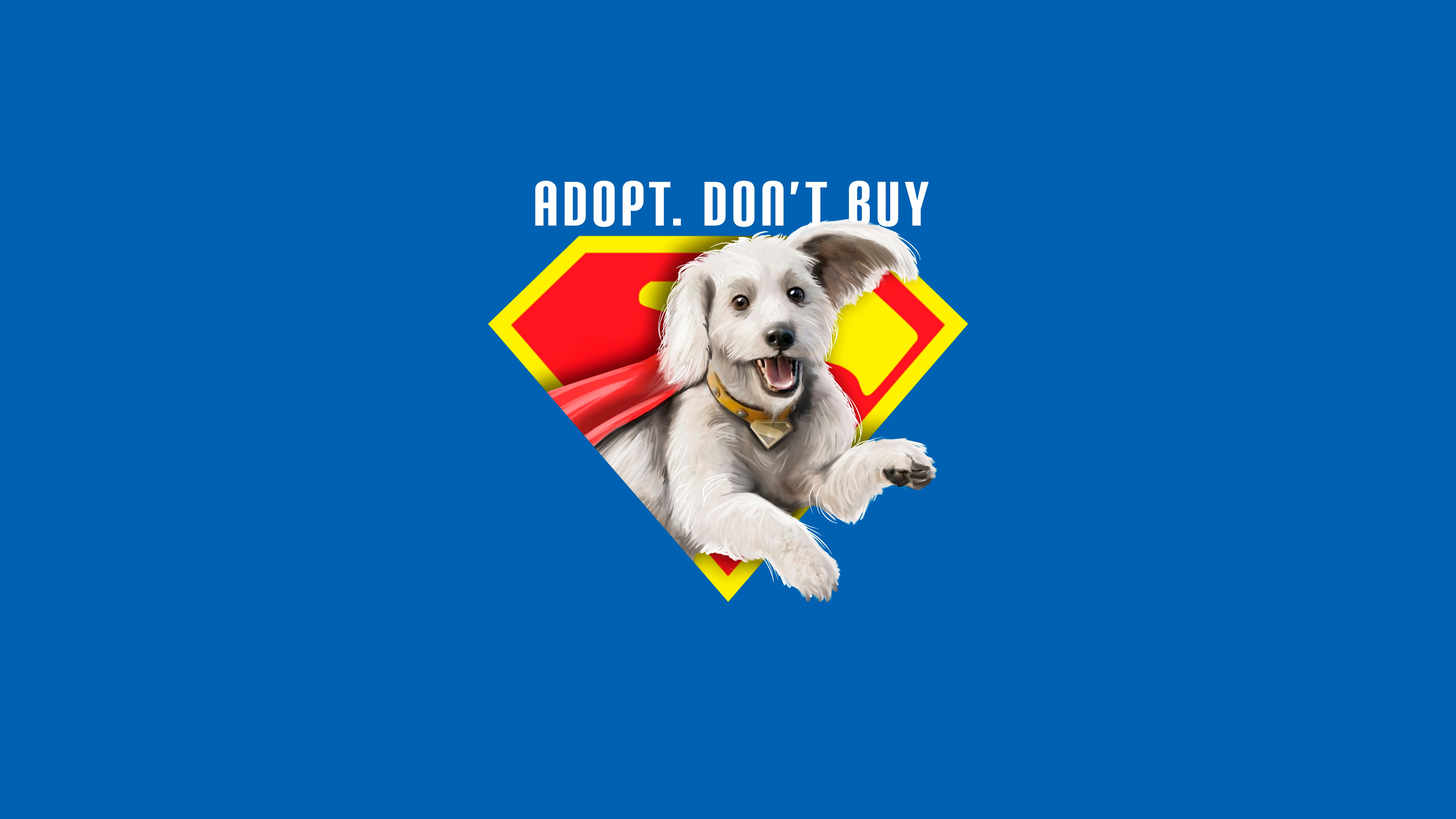 Krypto the Superdog with "Adopt. Don't Buy" text HD Wallpaper