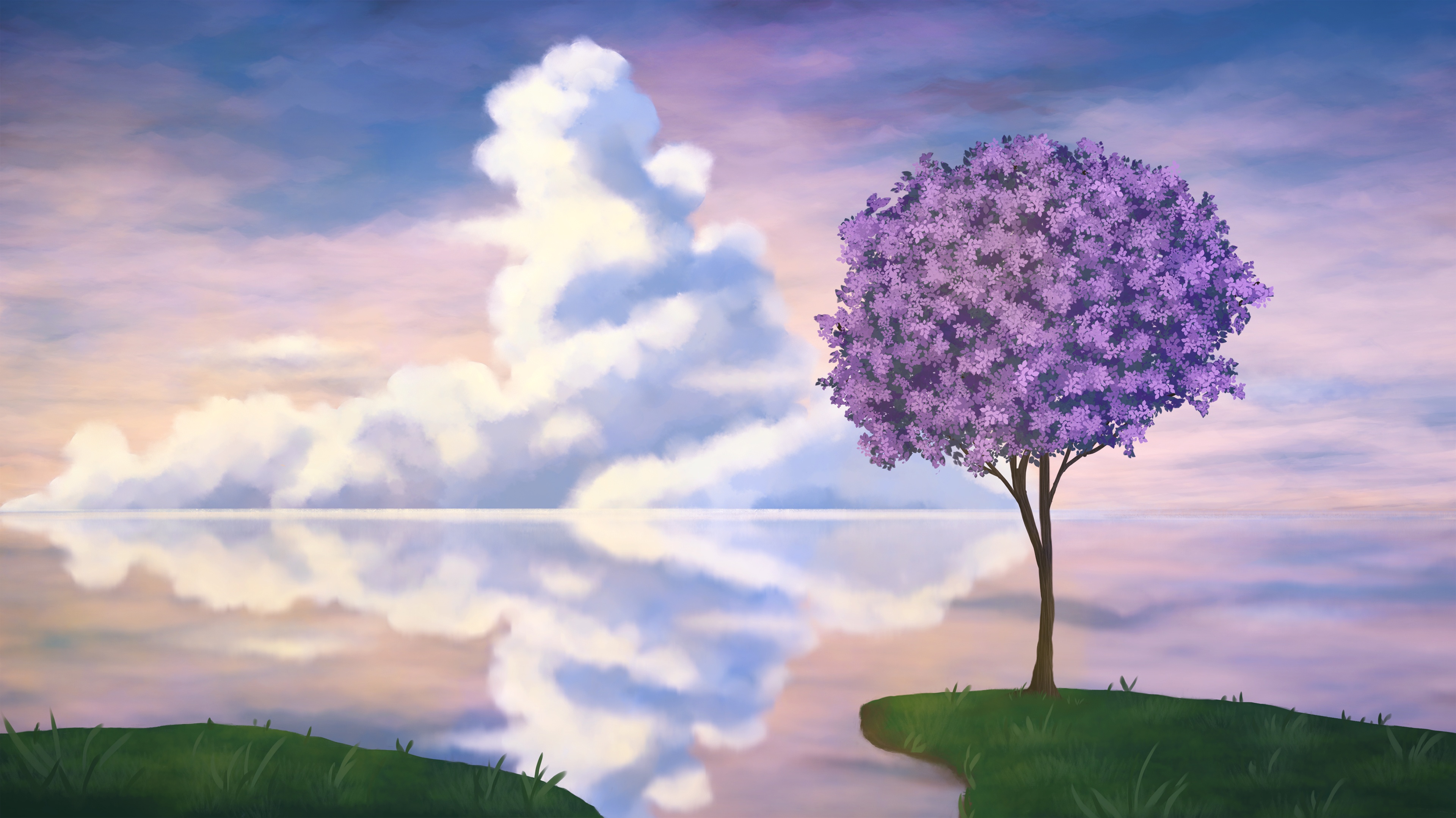 Violet Tree Reflection in Calm Water HD Wallpaper