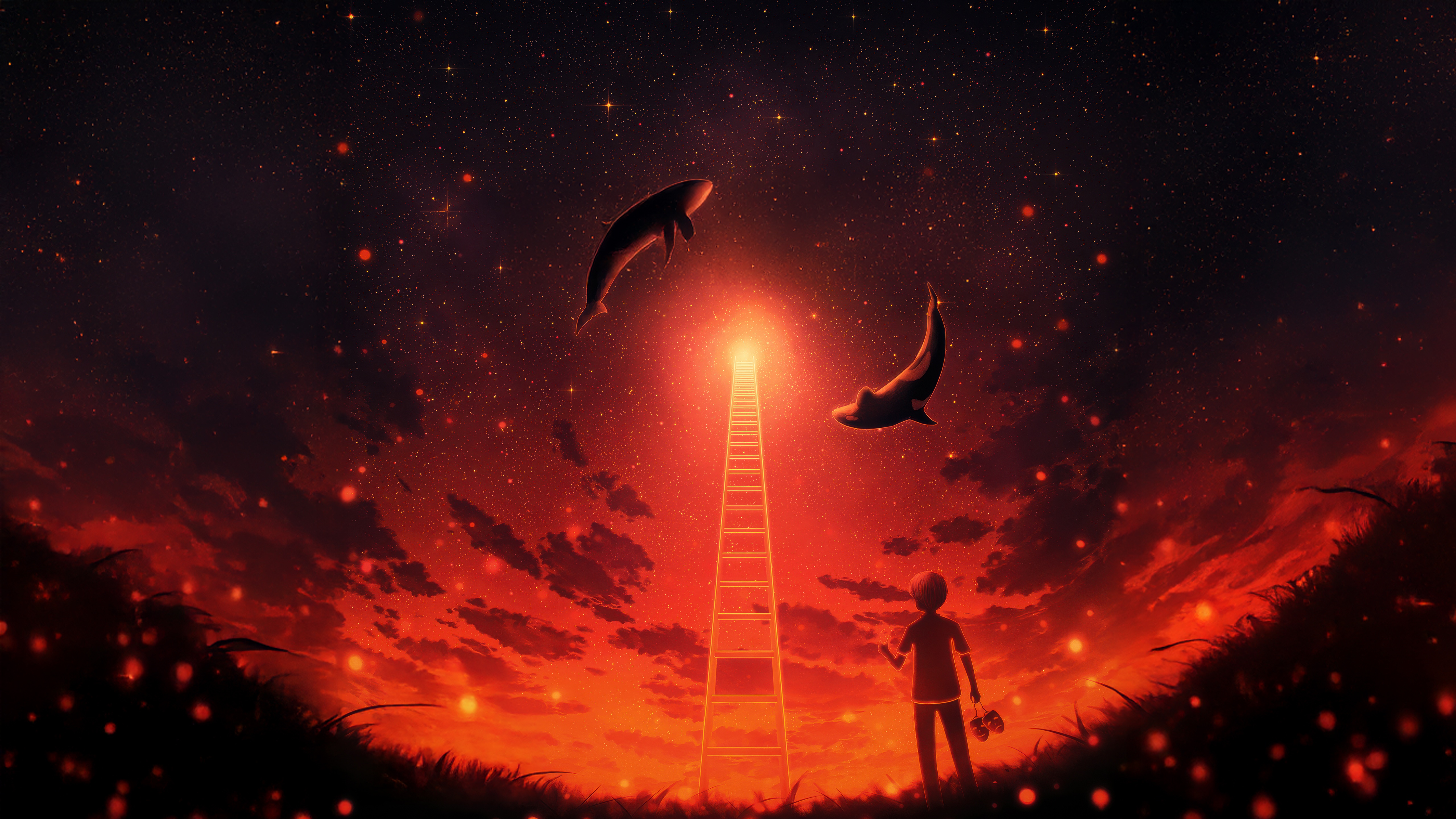 Boy watches whales ascend a ladder of light HD Wallpaper