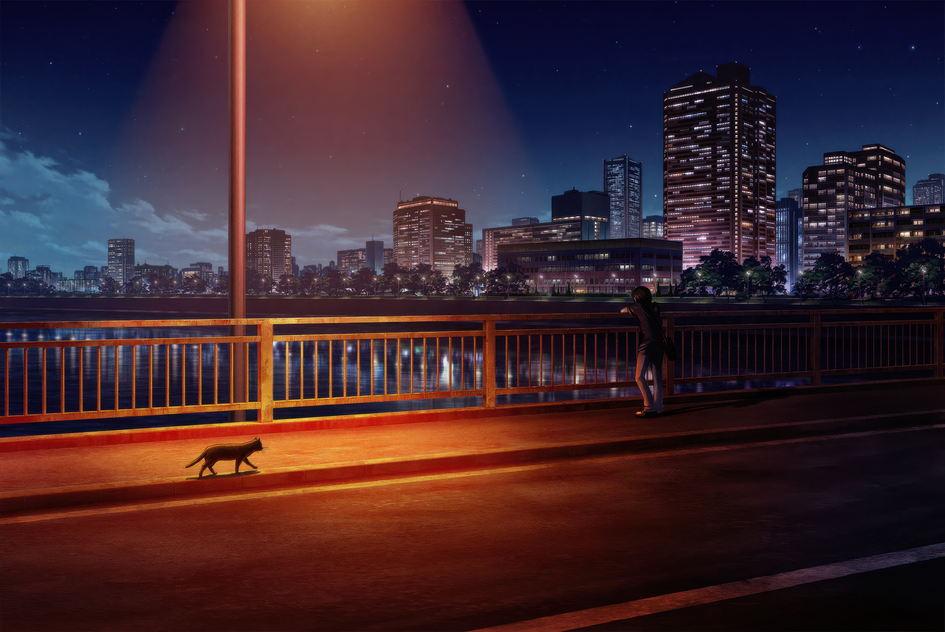 Midnight Cat on a Bridge with City Skyline HD Wallpaper