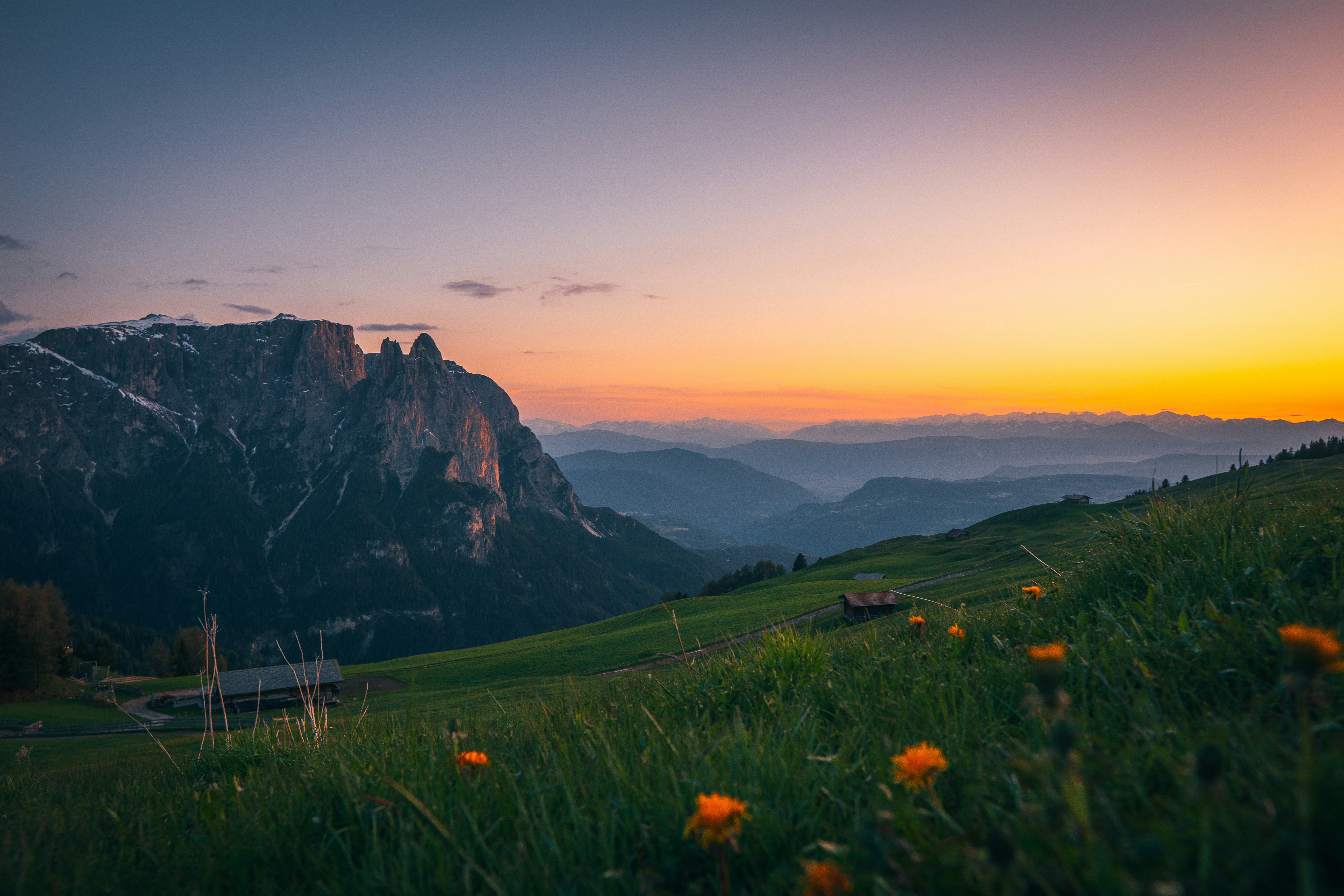 Mountain valley at sunset with orange flowers HD Wallpaper