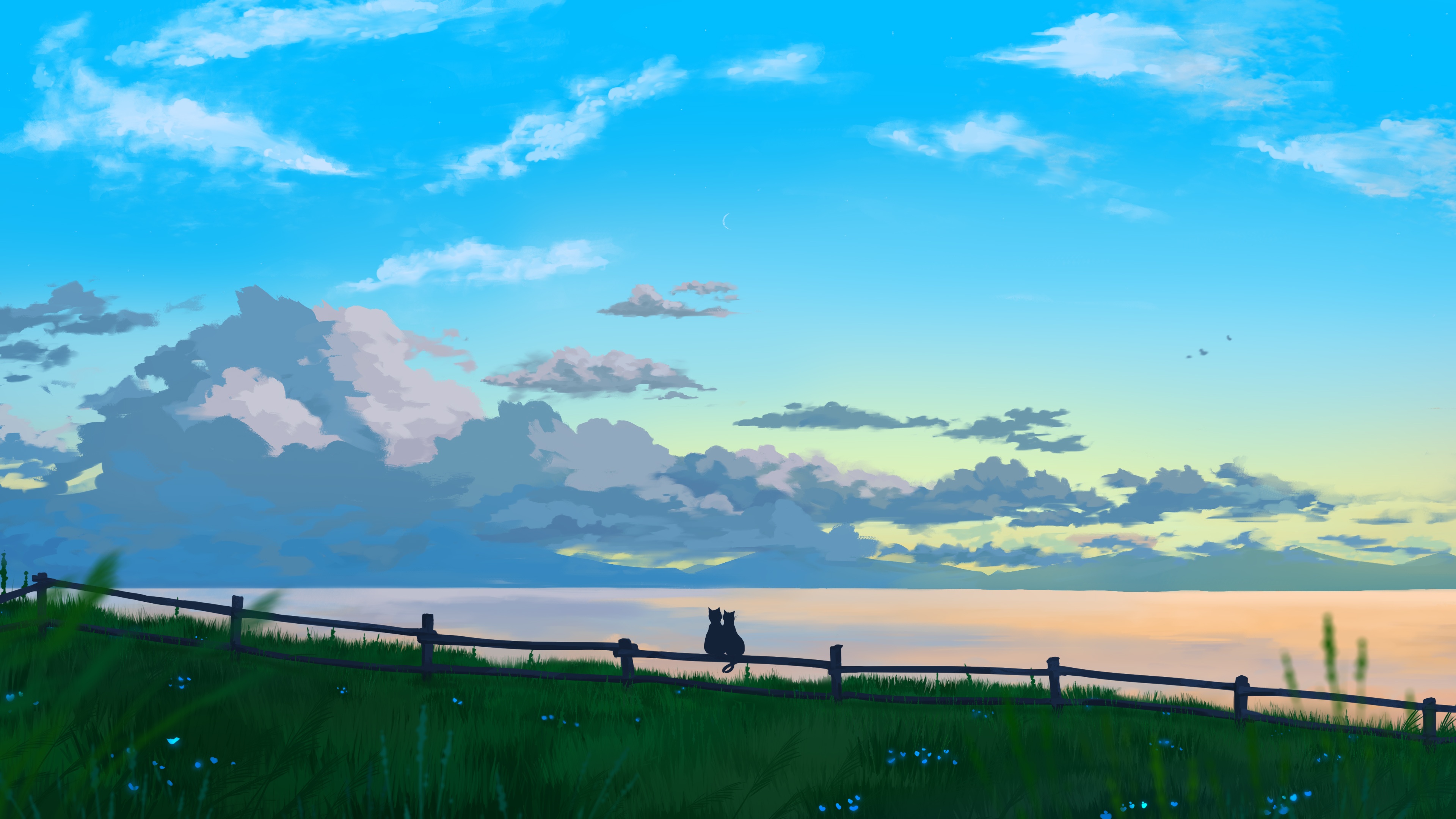 Two cats sit on a fence overlooking a sea of clouds HD Wallpaper