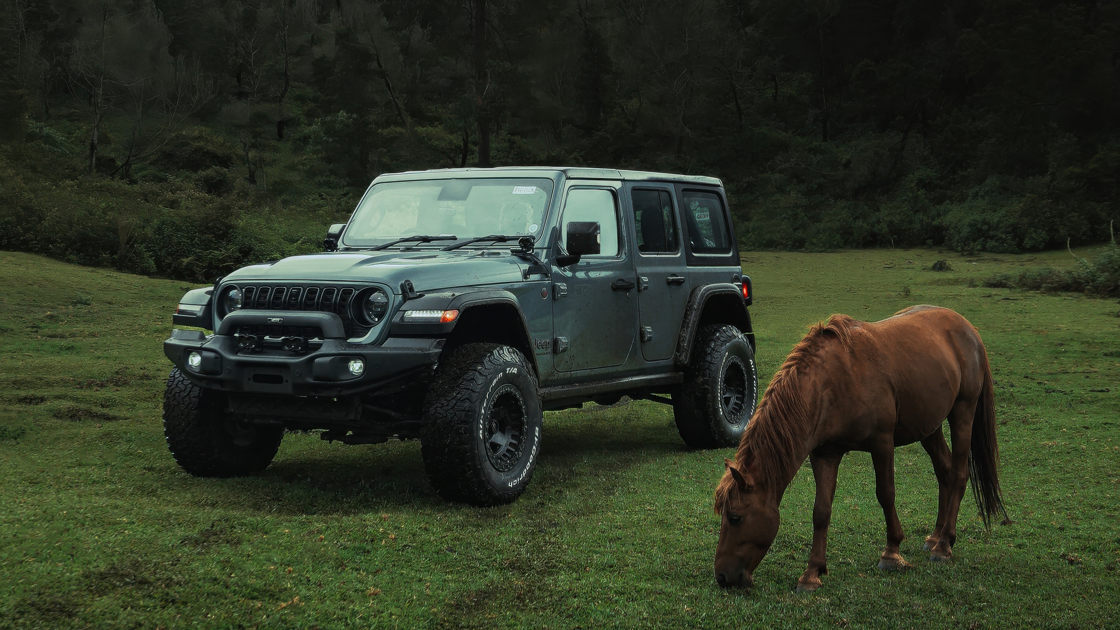 Jeep Wrangler Rubicon with a horse in a field HD Wallpaper