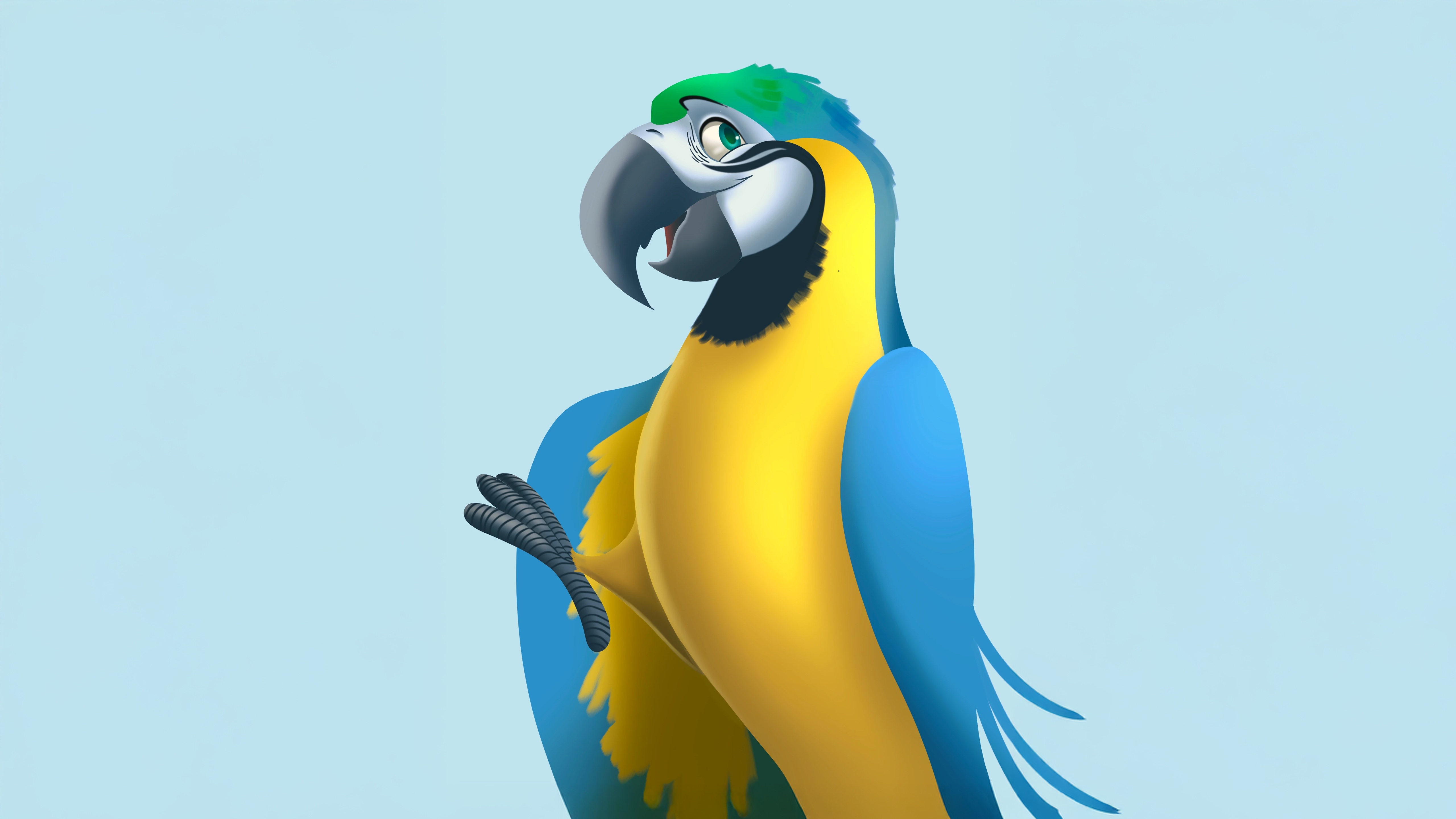 Blue and yellow macaw parrot HD Wallpaper