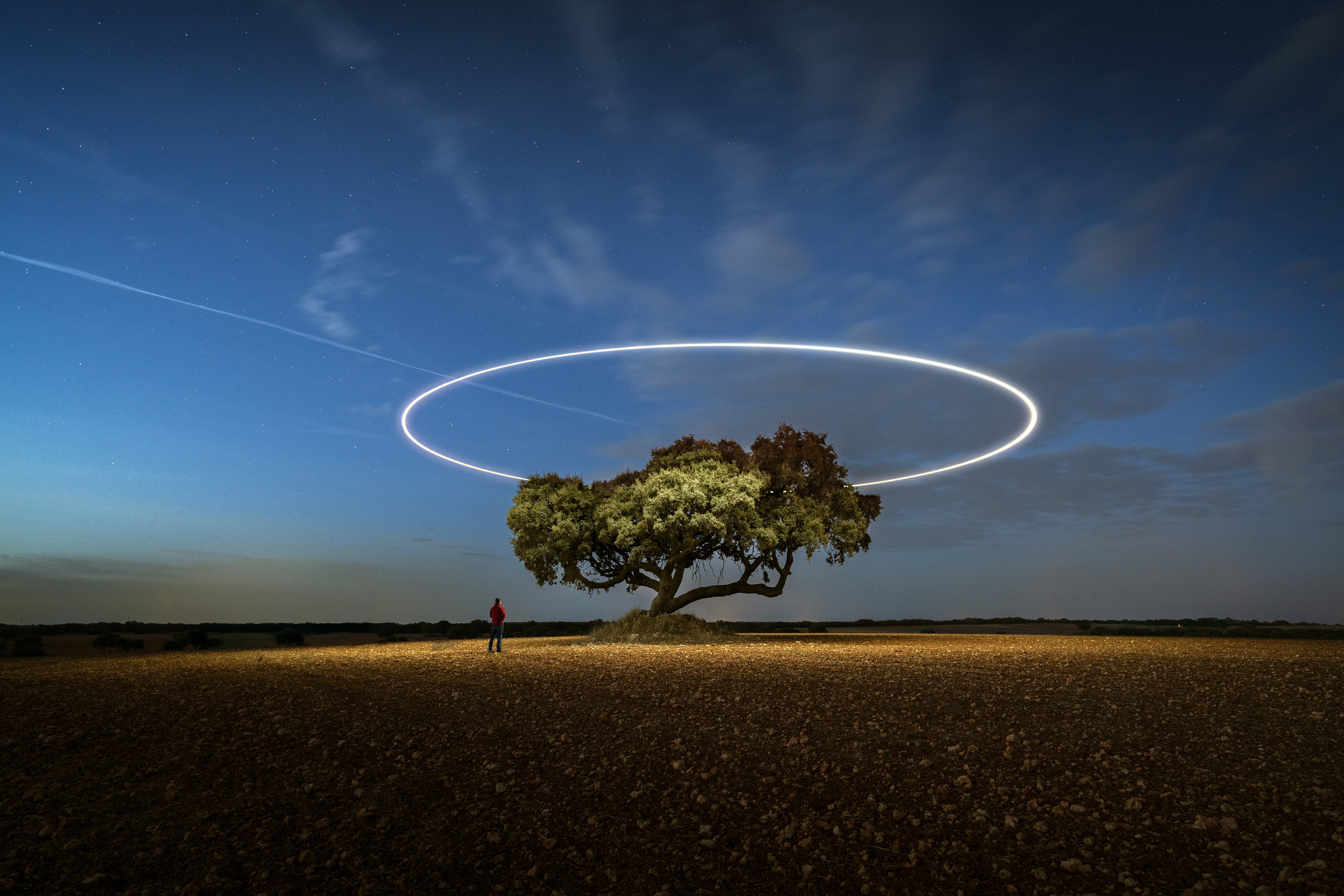 Long exposure of a tree with a light ring at night HD Wallpaper