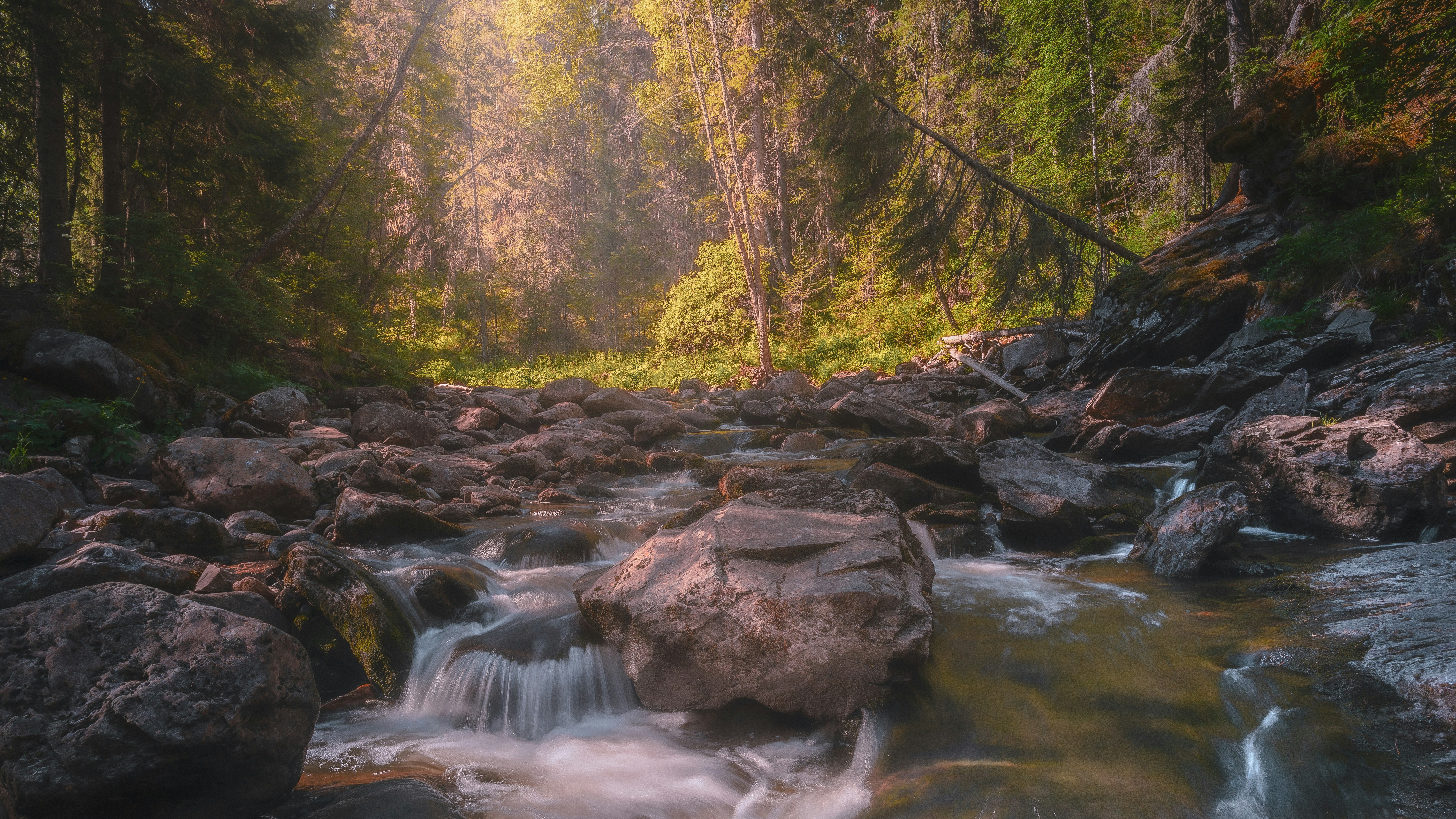 Sunlit Forest Stream with Rocks HD Wallpaper