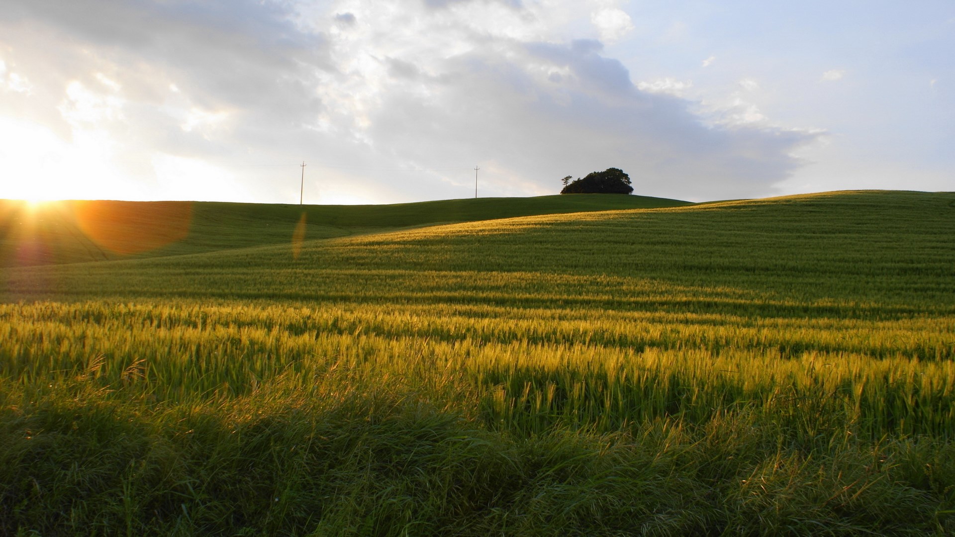 Golden sunset over rolling green hills and fields HD Wallpaper