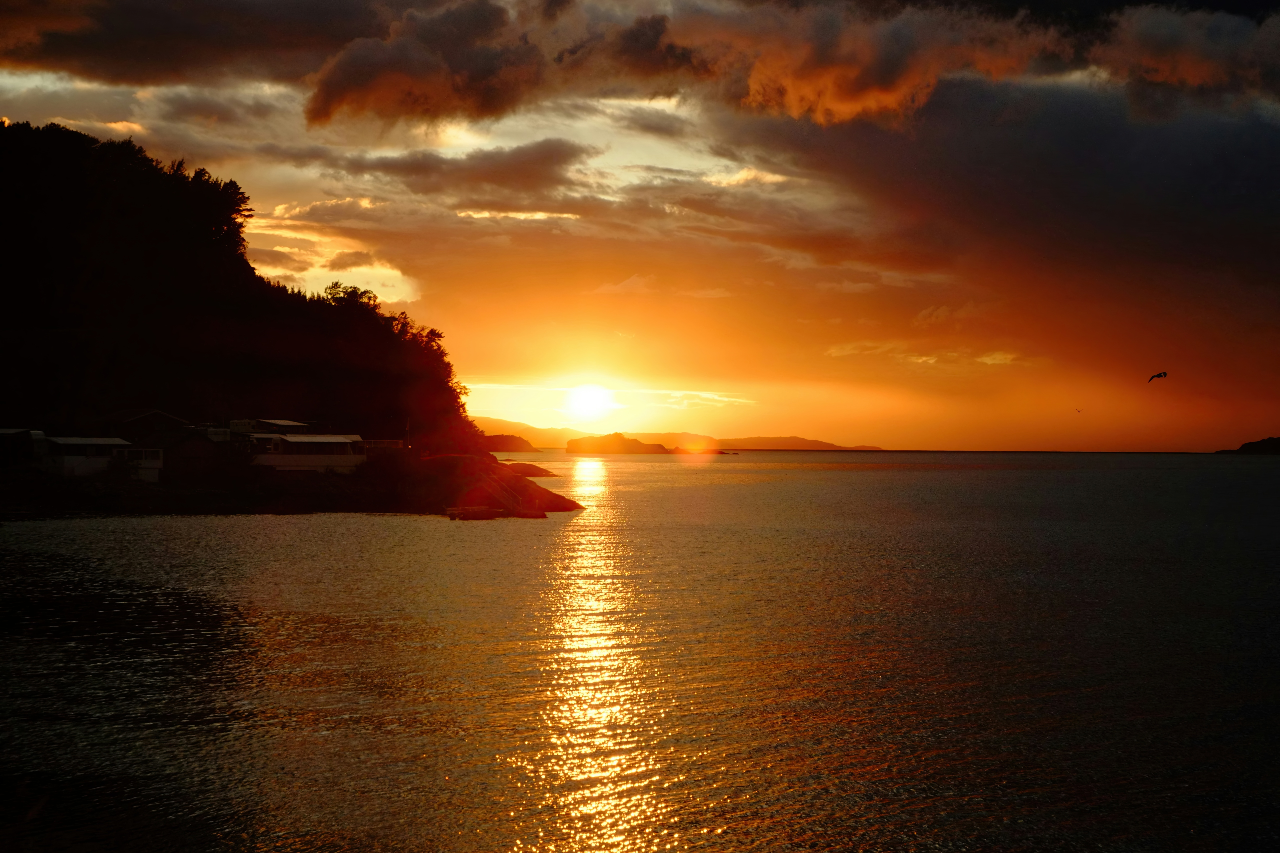 Golden Sunset Over Calm Ocean And Island HD Wallpaper