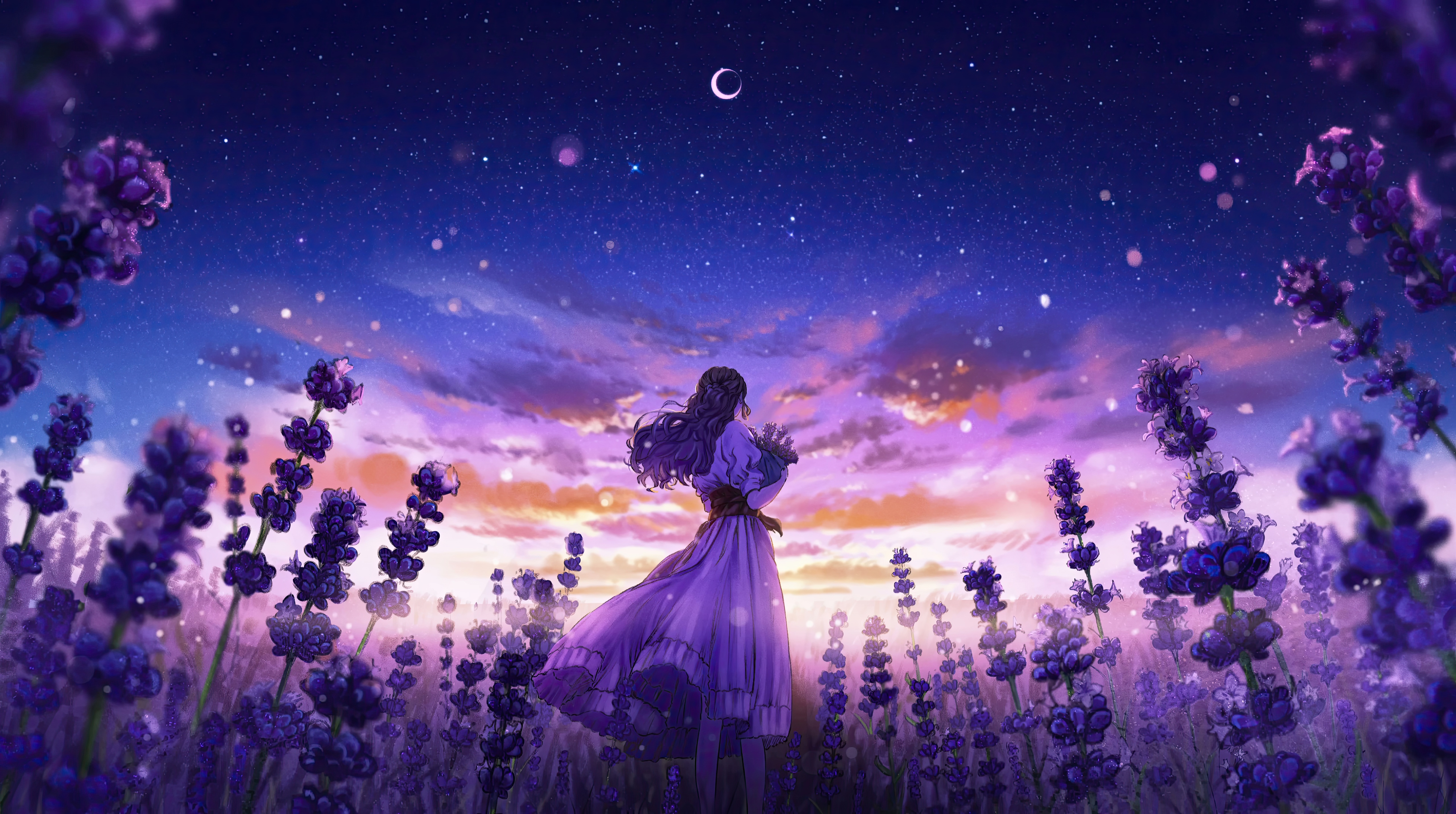 Anime girl in a lavender field under a starry sky HD Wallpaper